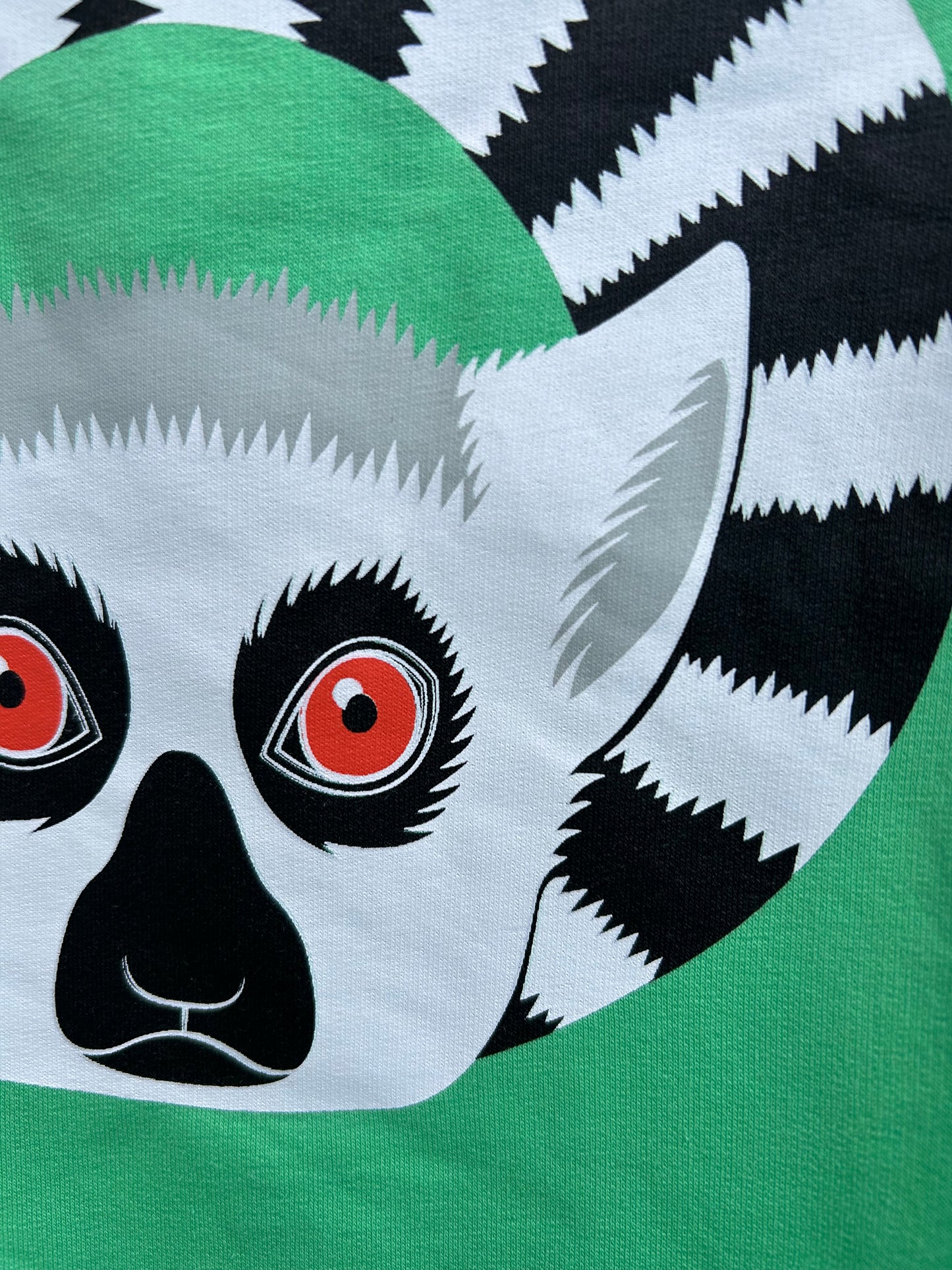 Lemur green sweatshirt 4y (104cm)