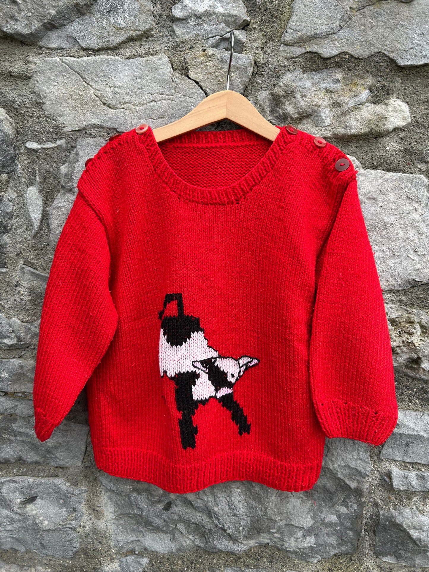 Dog red jumper 6y (116cm)