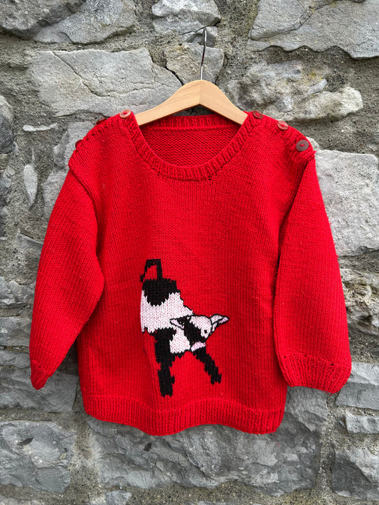 Dog red jumper  6y (116cm)