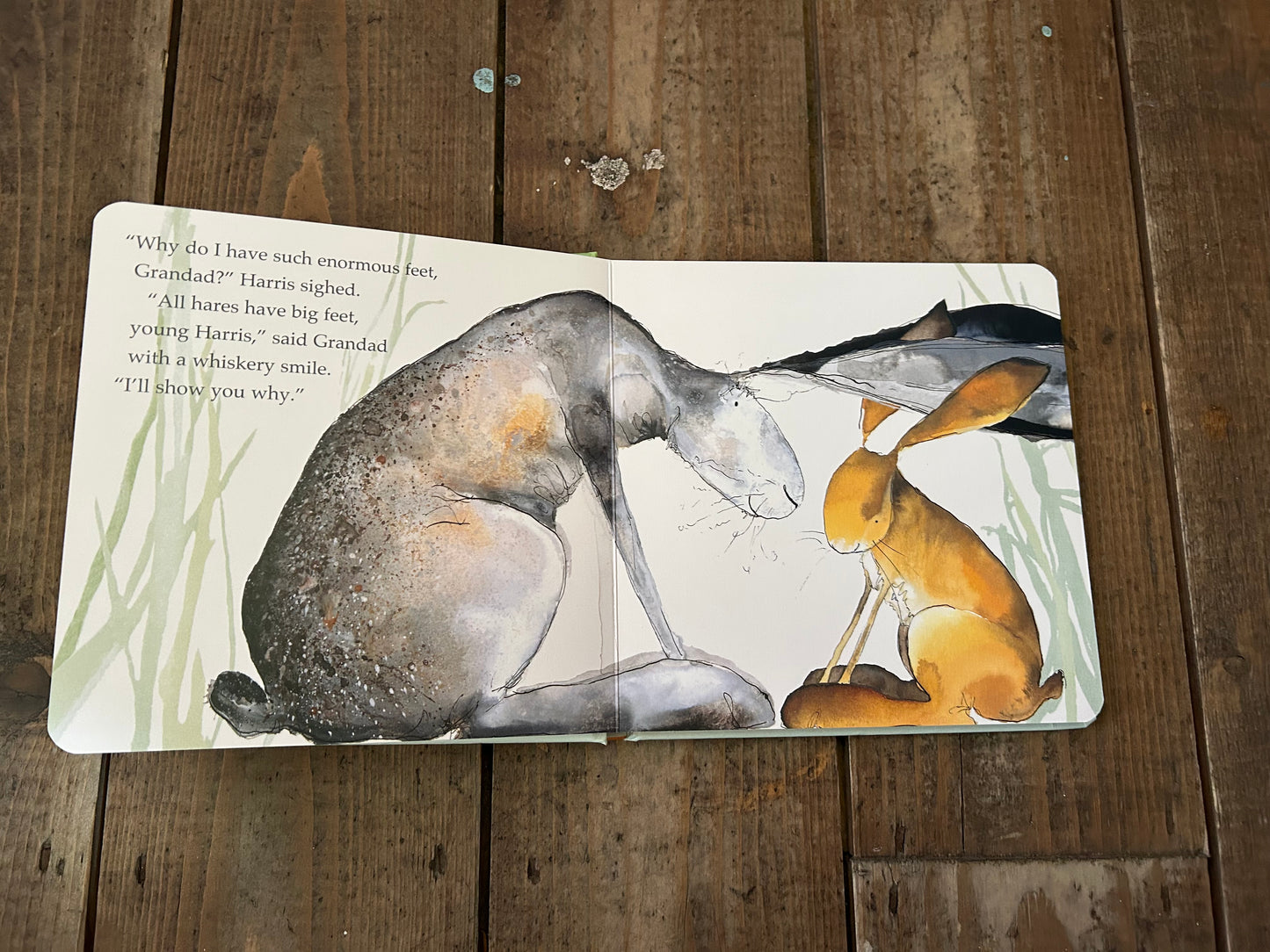 Harris finds his feet by Catherine Rayner