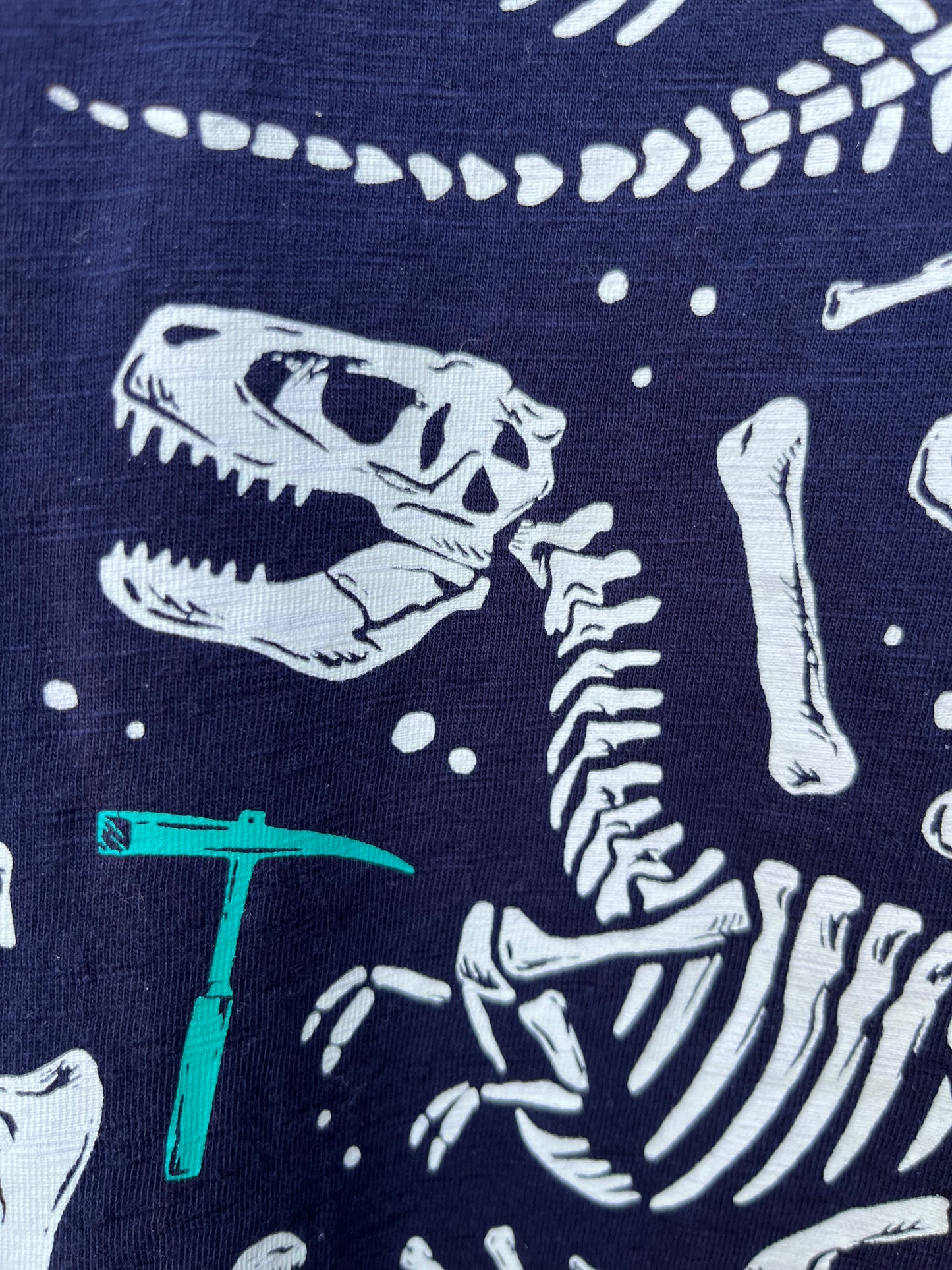Dinosaur skeletons T-shirt 4-5y (104-110cm)