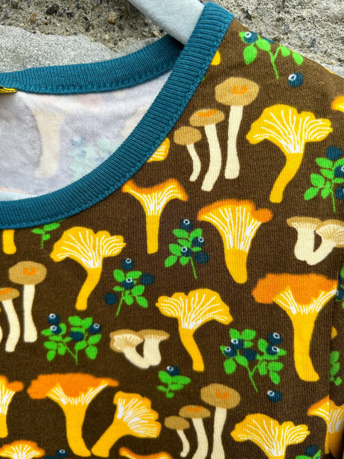 Chantarelles brown dress 6y (116cm)