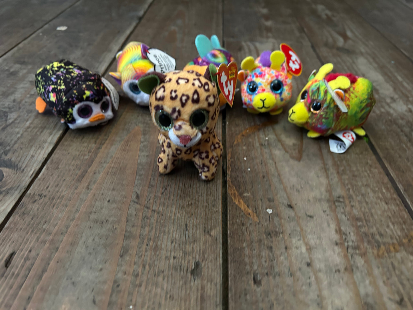 6 tiny ty soft toys animals