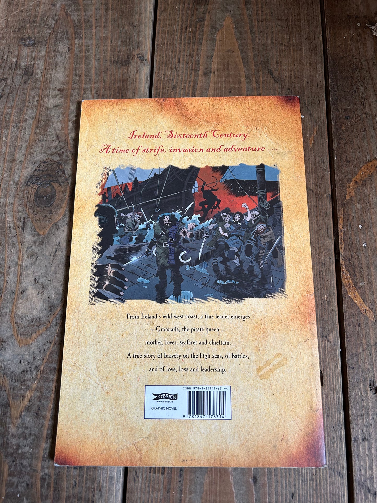 Blood upon the roses the rebellion that set Ireland free 1916