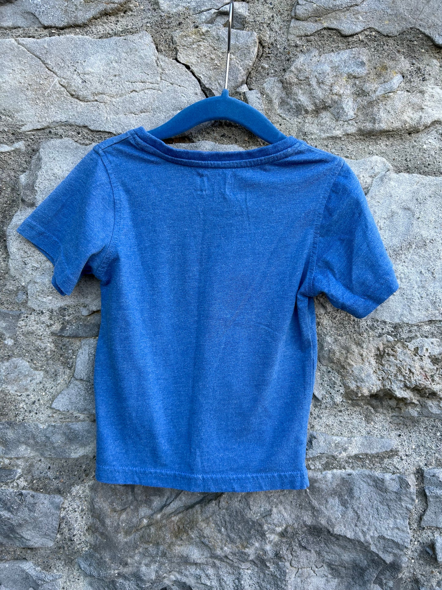 Bug expert T-shirt 18-24m (86-92cm)