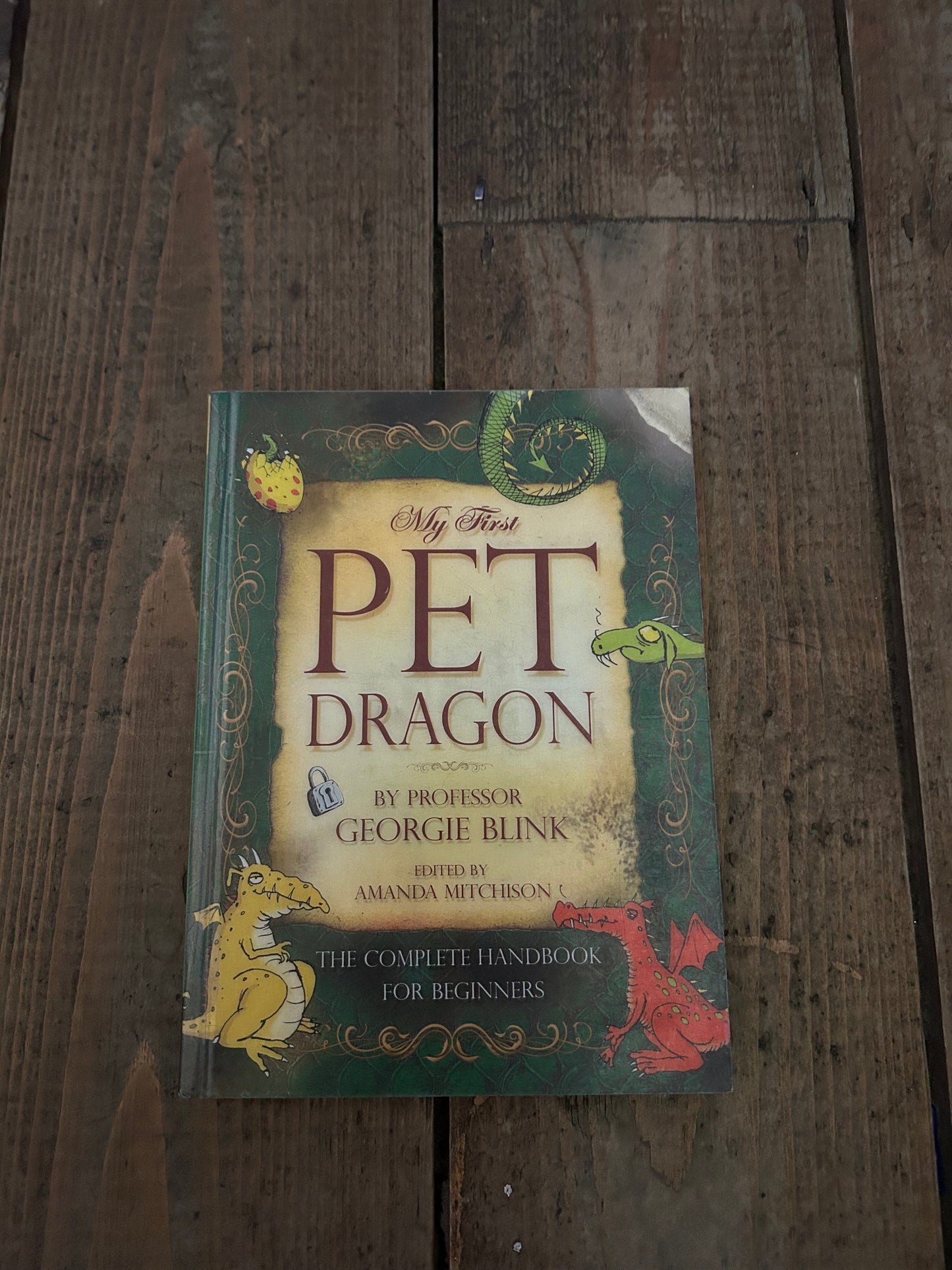 My first pet dragon by Georgie Blink