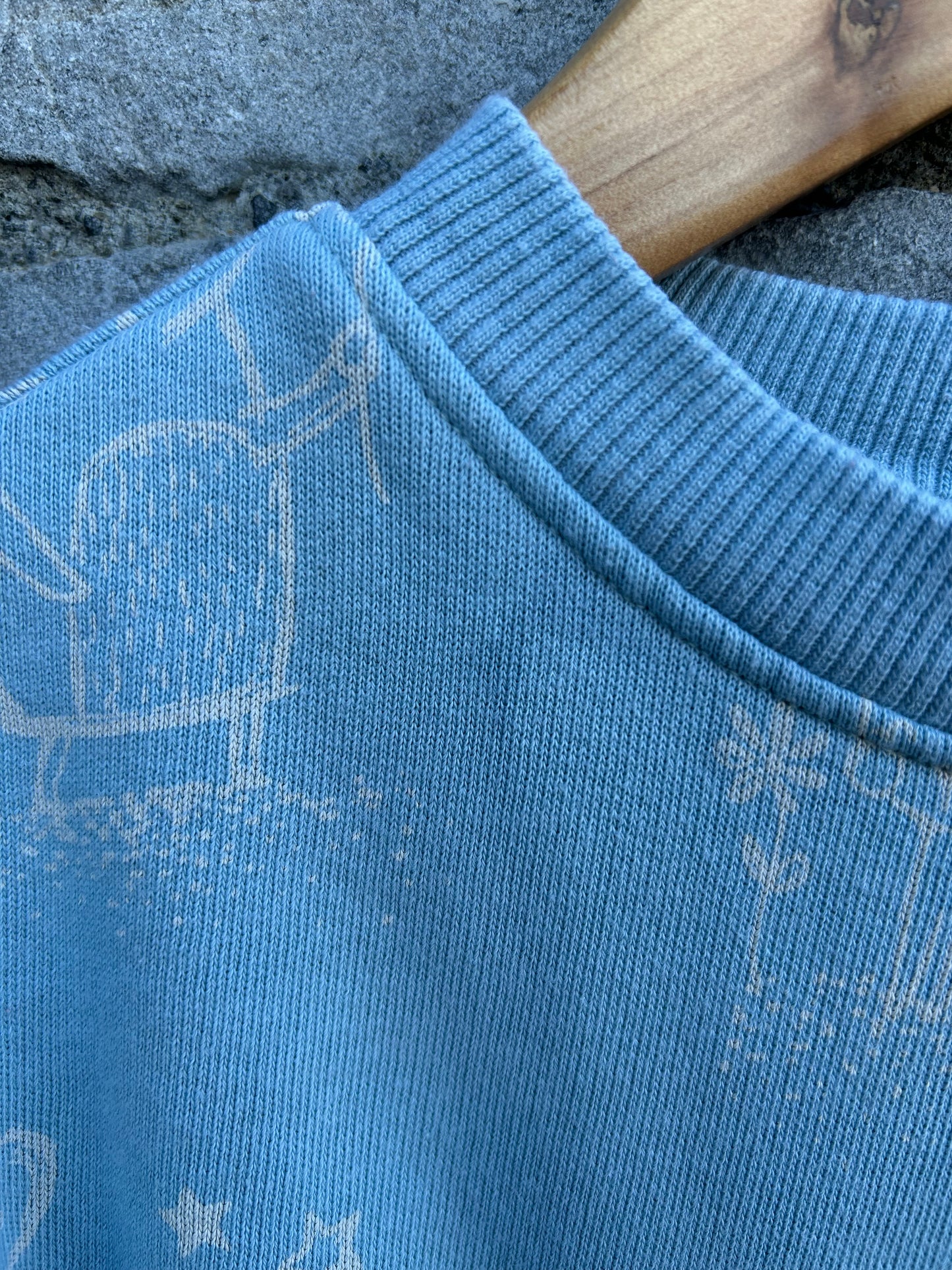Blue woodland sweat dress 2-3y (92-98cm)
