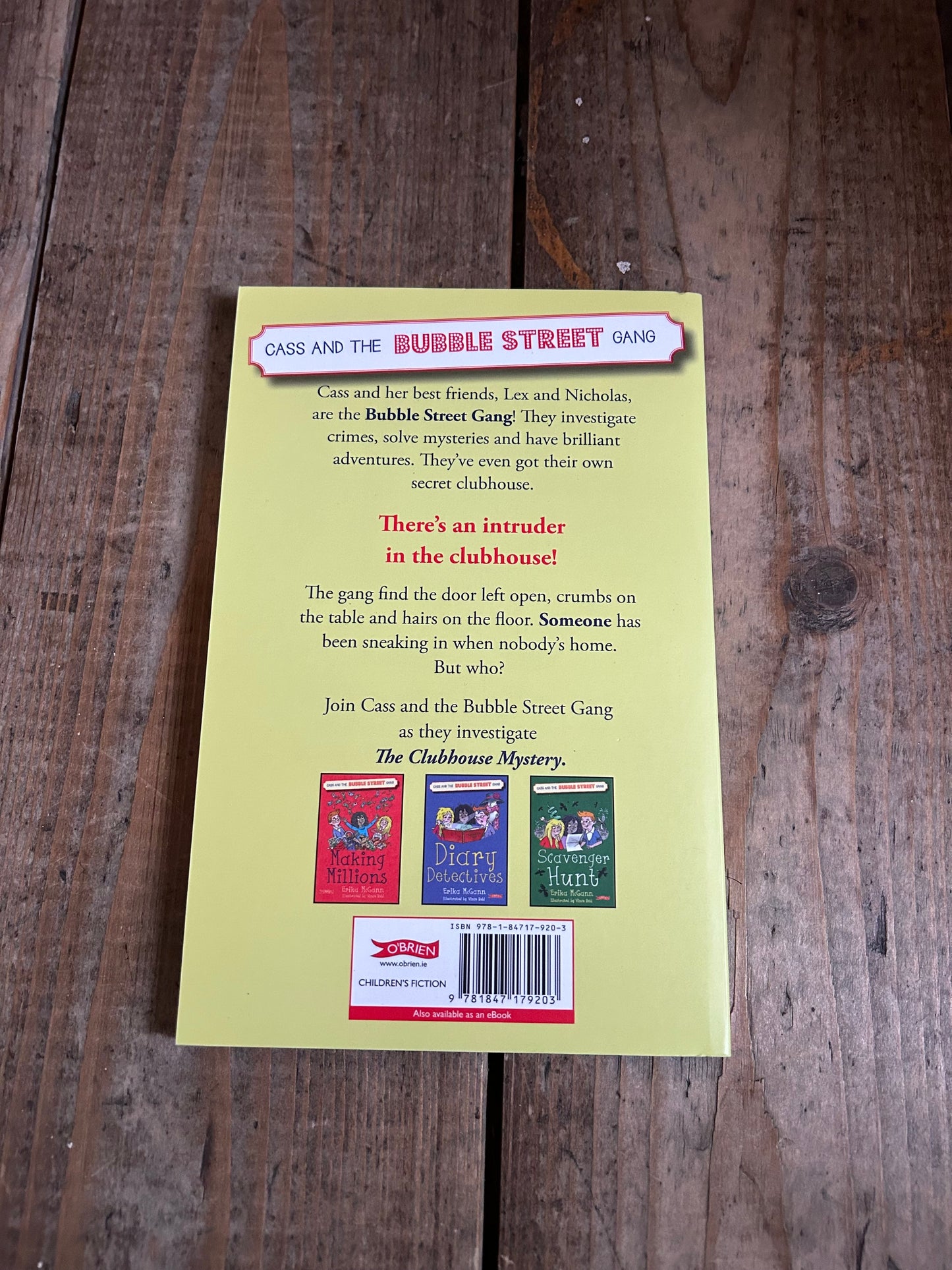 The clubhouse mystery by Erika Mcgann