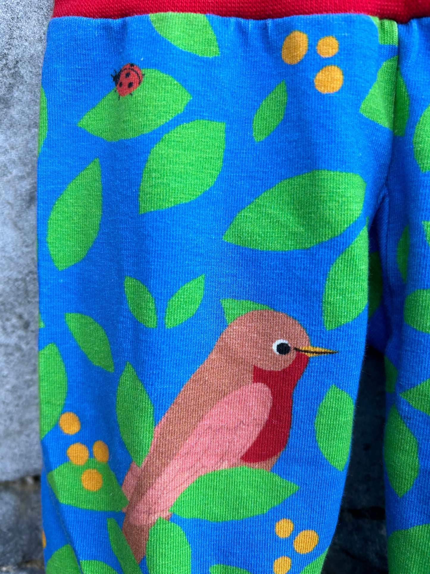 Birds blue rib pants 0-6m (56-68cm)
