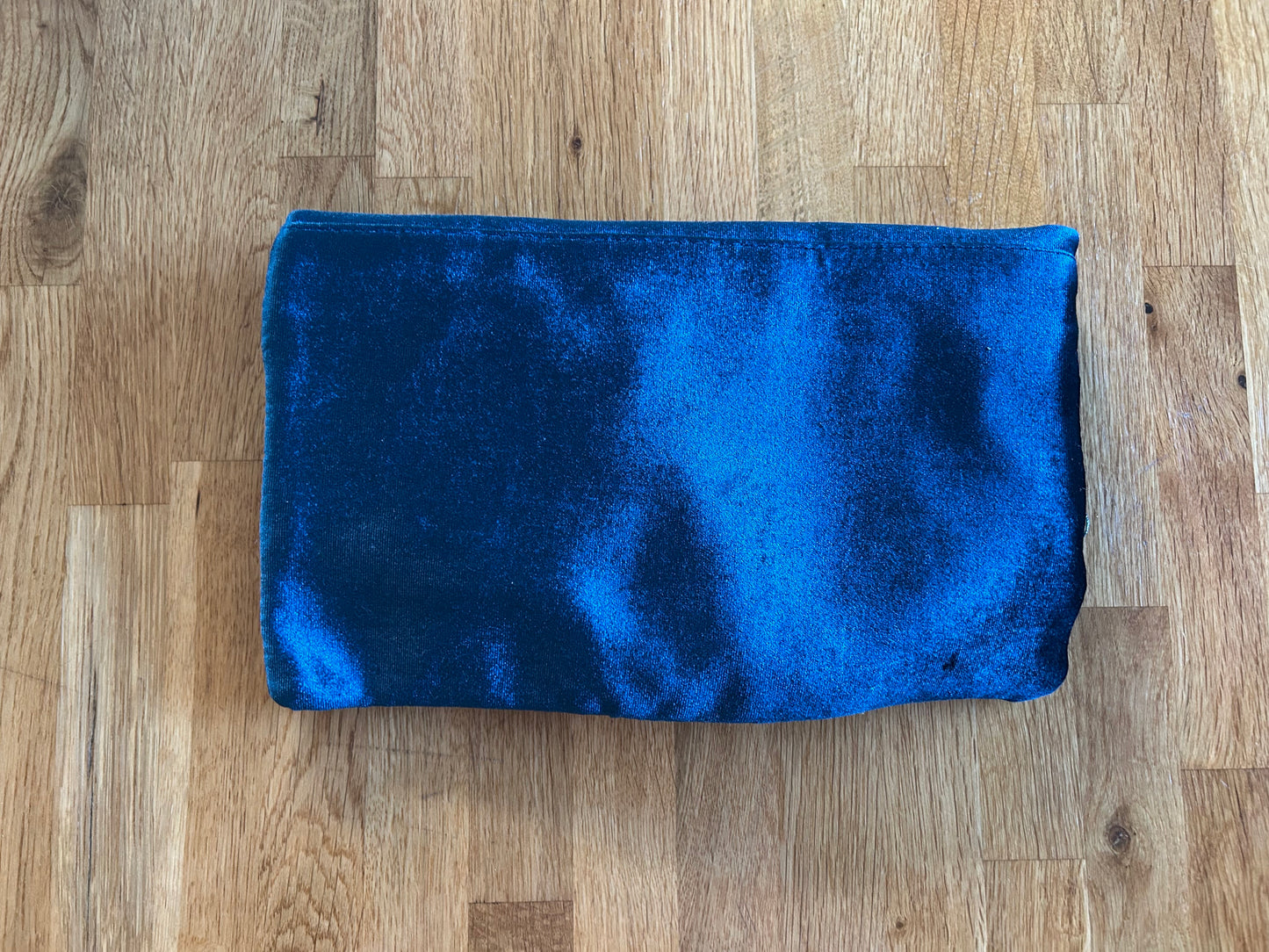 Dragonfly purse