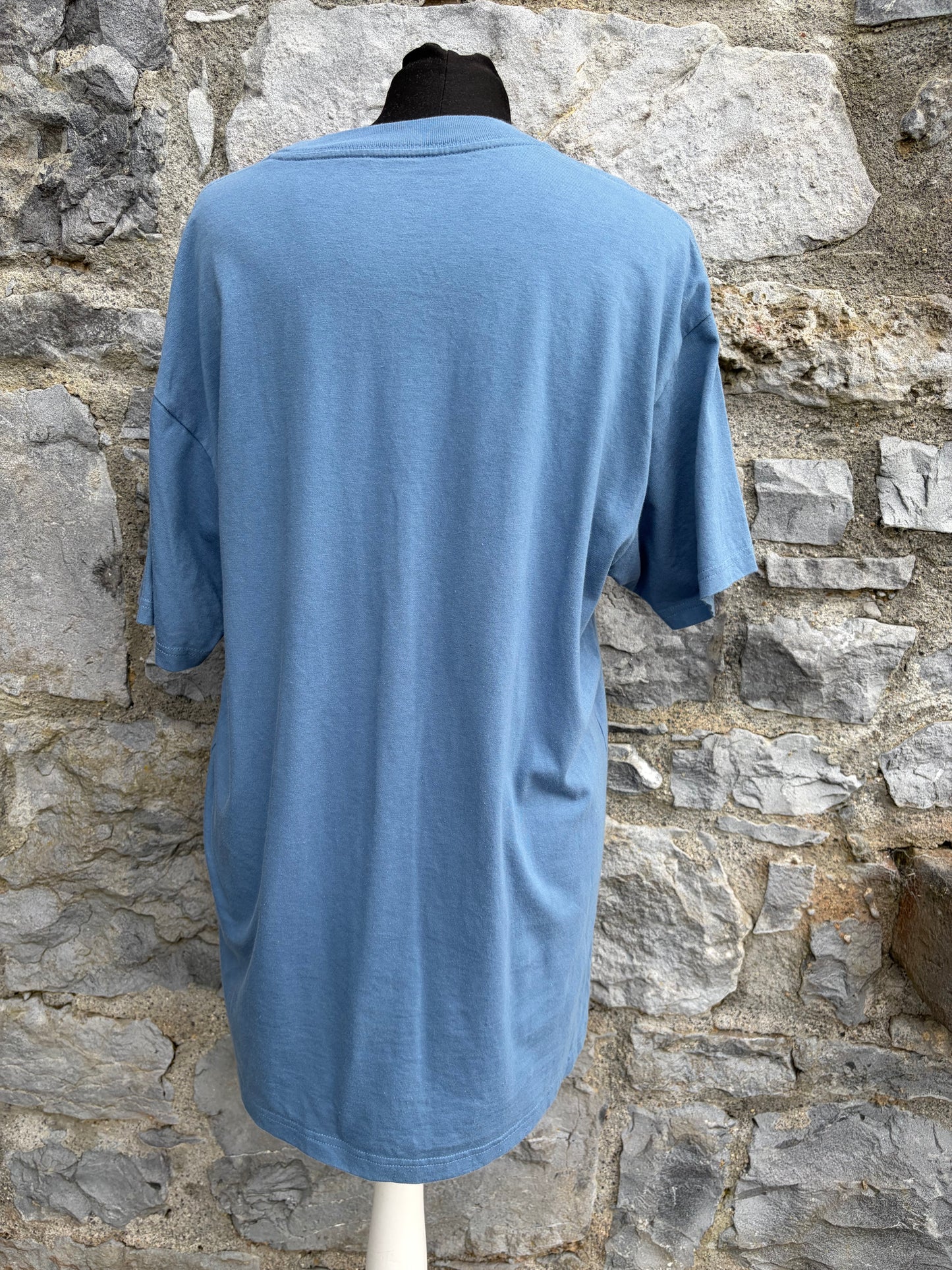 Carhartt blue T-shirt Large