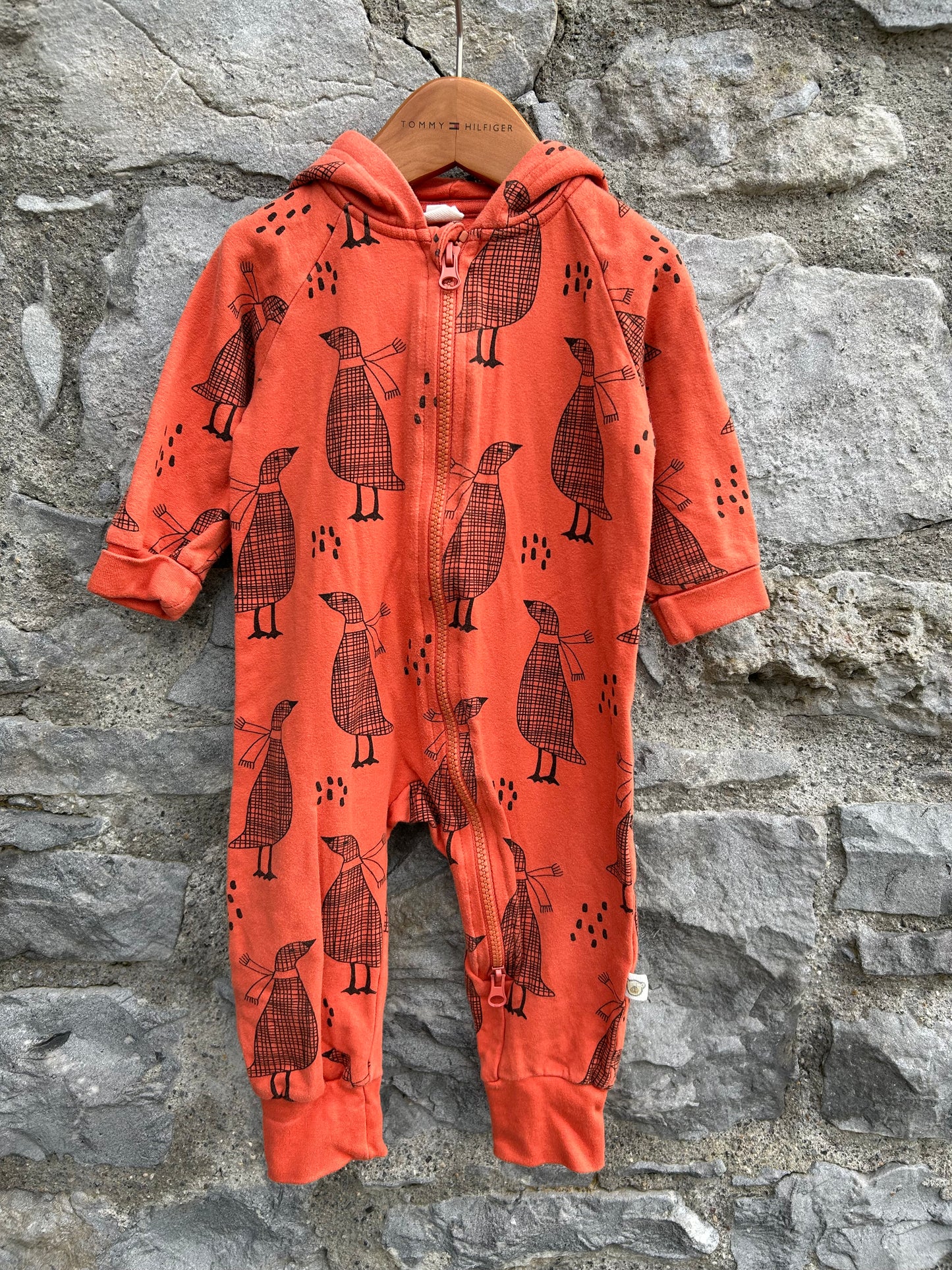 Orange geese hooded onesie 3-6m (62-68cm)