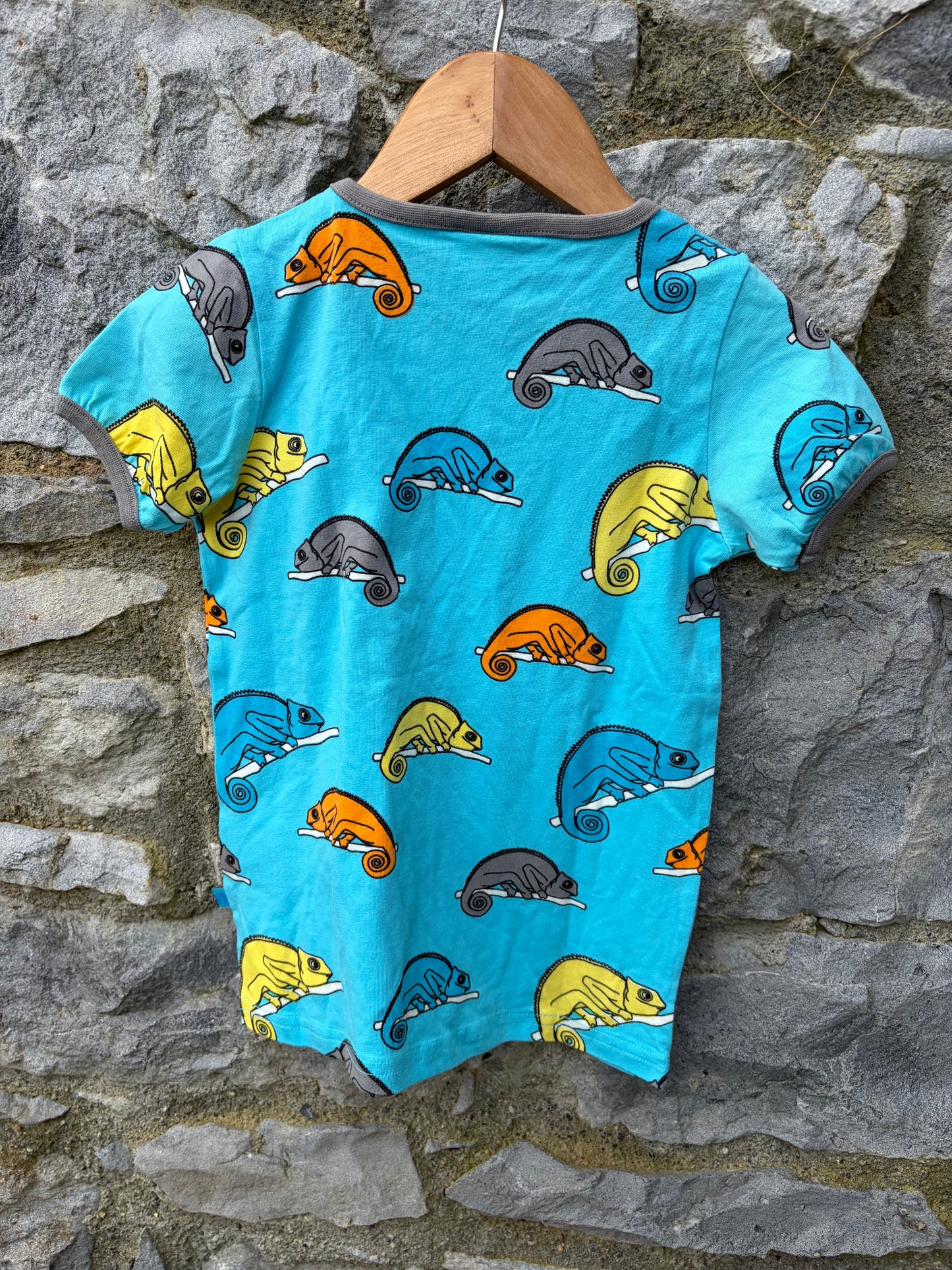 Chameleon Blue T-shirt 4-5y (104-110m)
