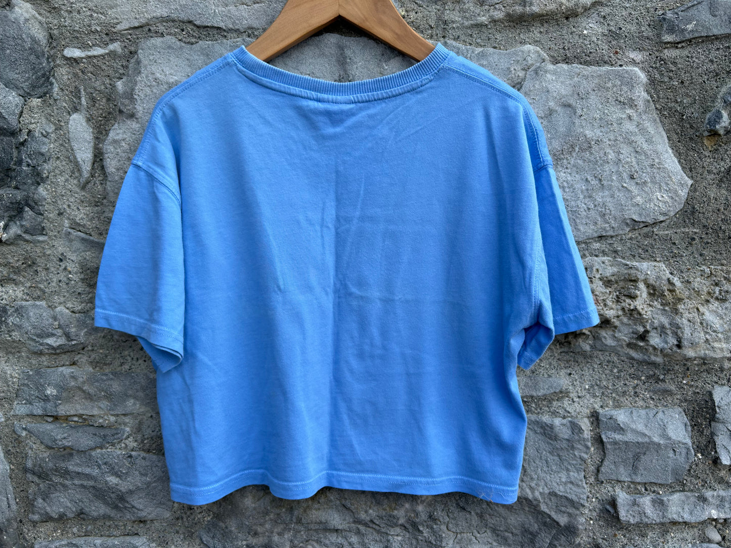 Palm Bay blue cropped T-shirt 9-10y (134-140cm)