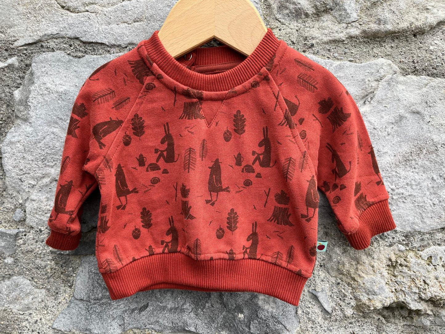 Forest animals sweatshirt 0-3m (56-62cm)