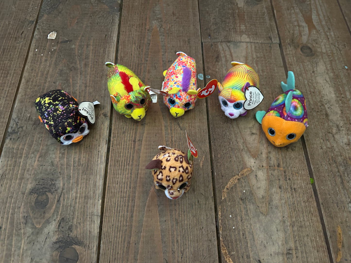 6 tiny ty soft toys animals