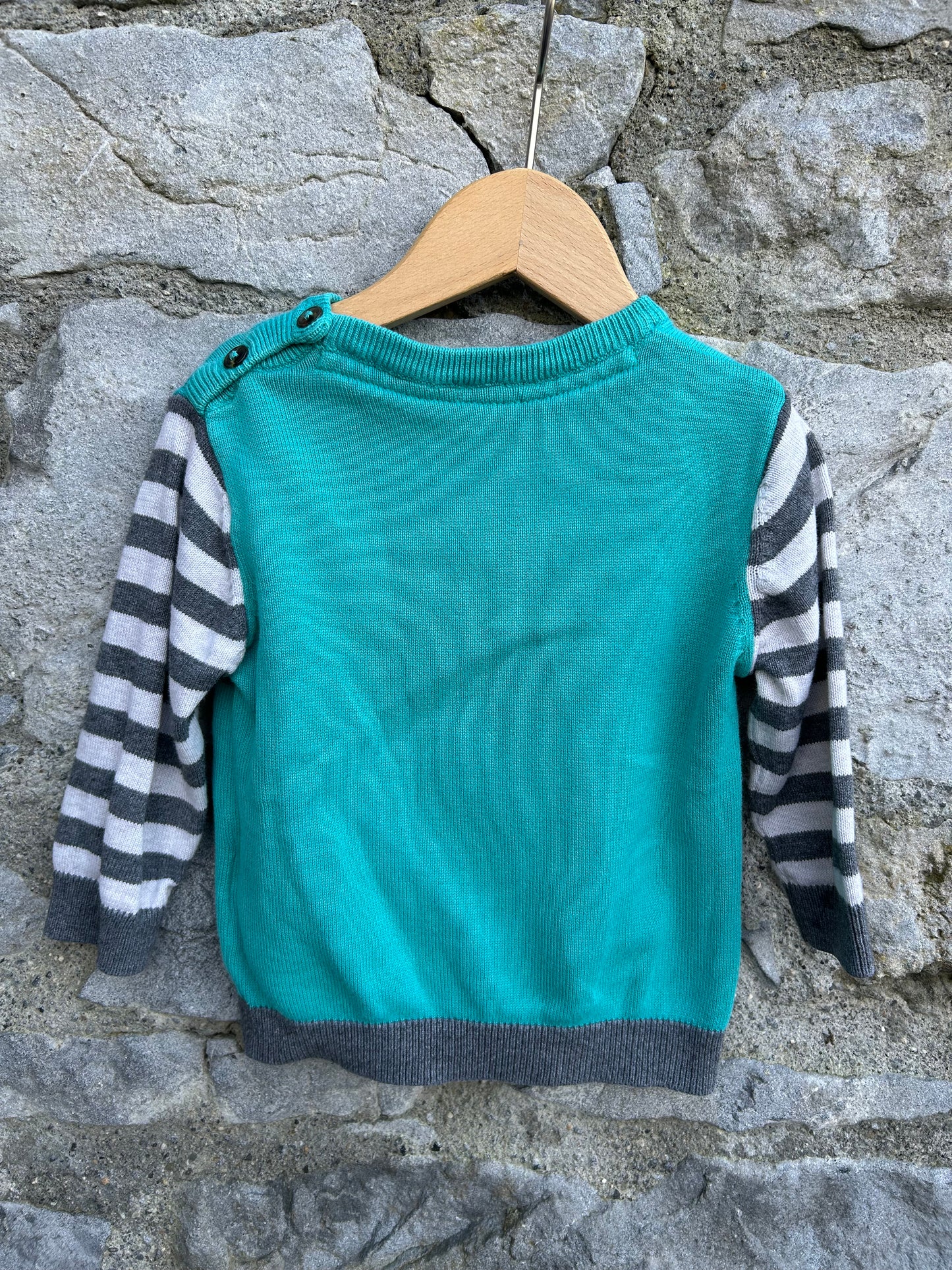 Raccoon jumper 6-9m (68-74cm)