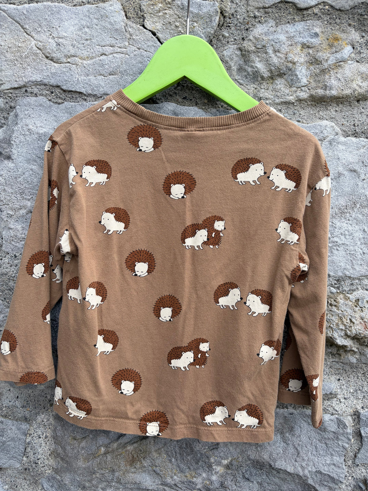 Hedgehogs brown top 2-3y (92-98cm)
