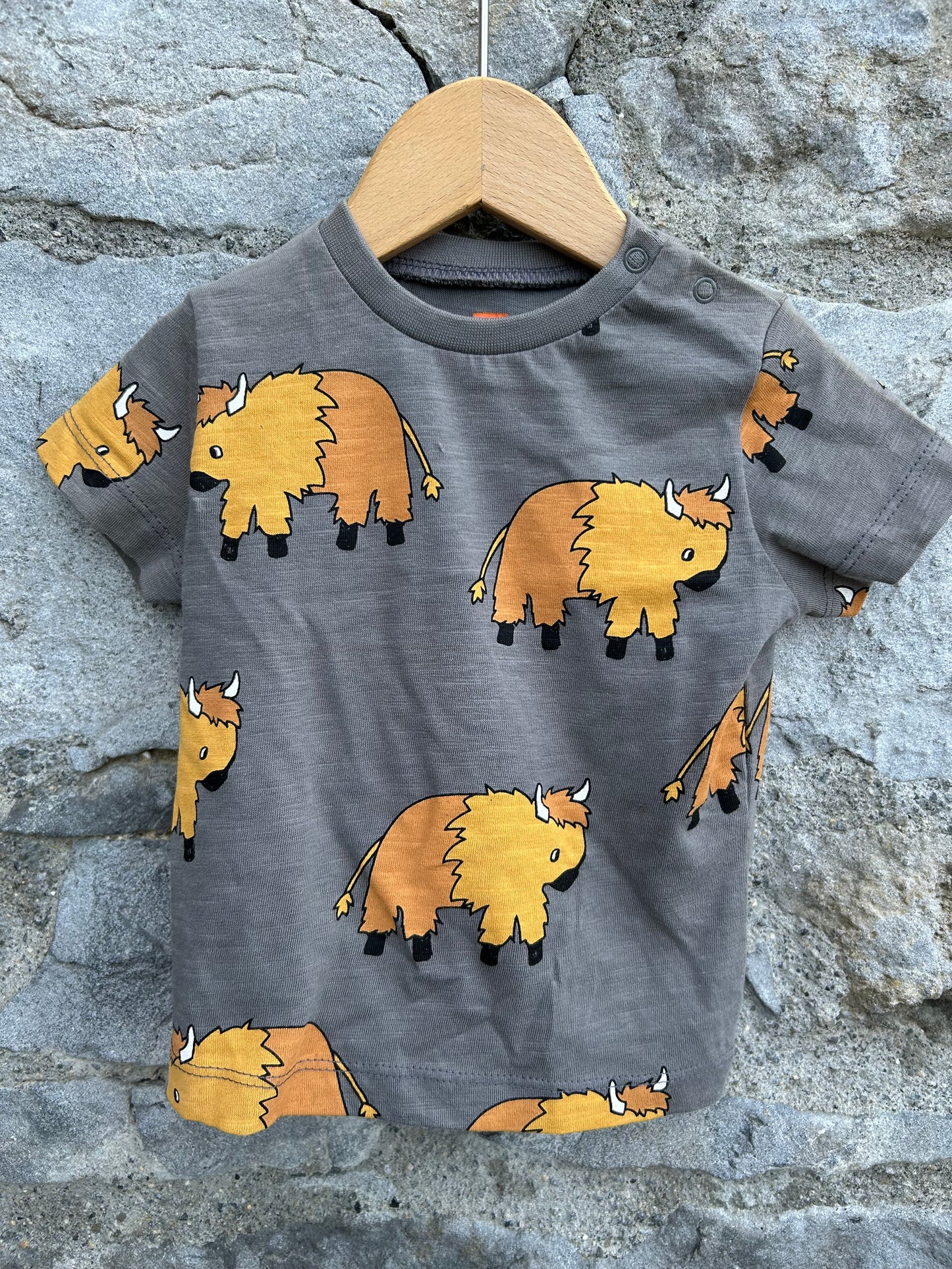 Yak grey T-shirt 0-3m (56-62cm)