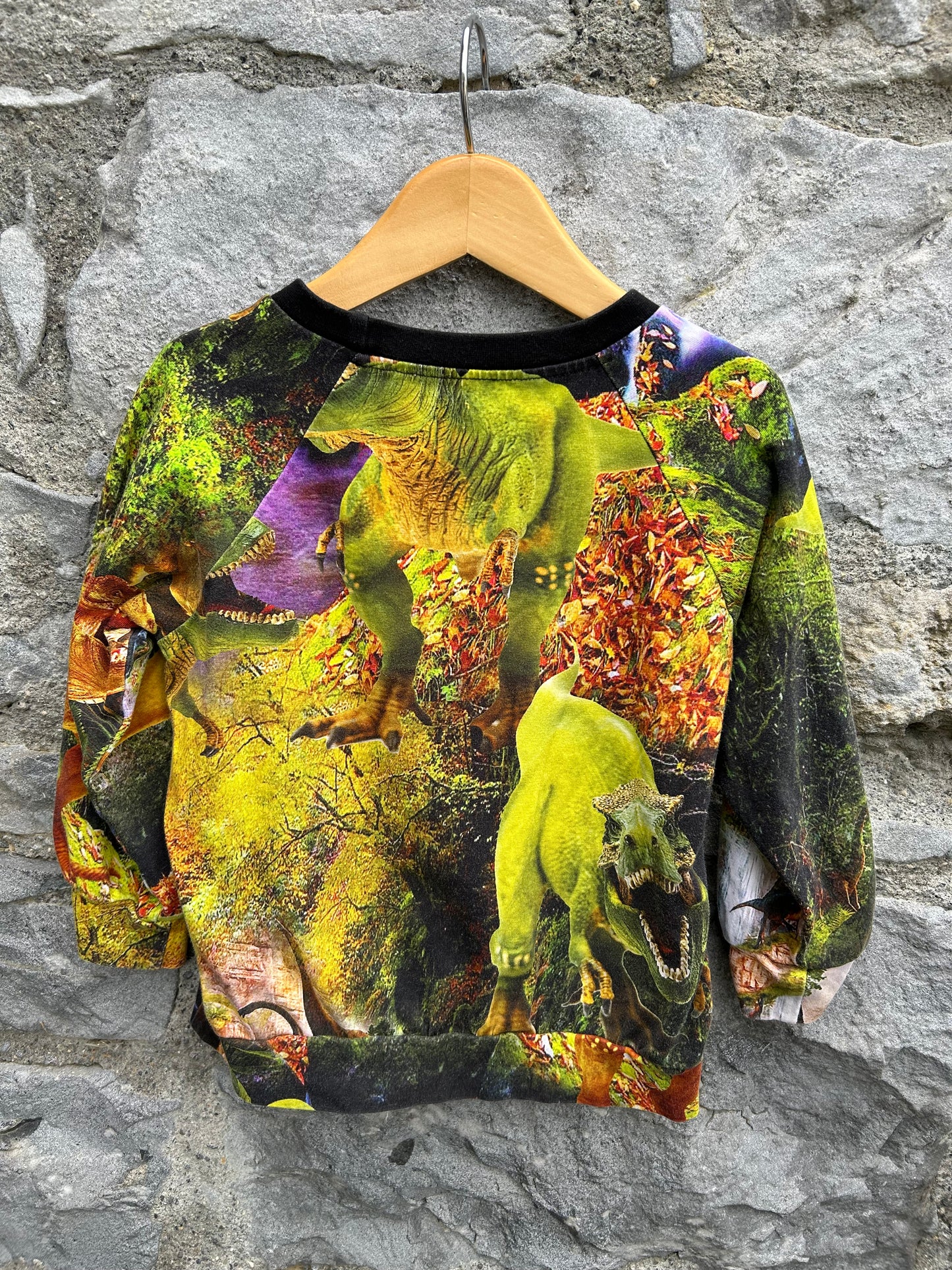 Colourful dinosaurs sweatshirt 3y (98cm)