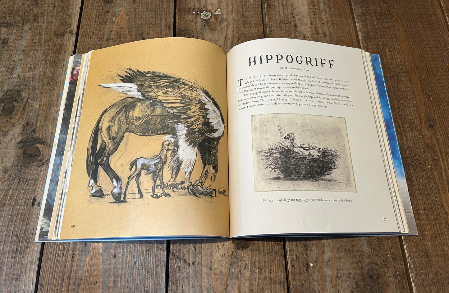 Newt Scamander's Fantastic Beasts and Where to Find Them by J.K.rowling