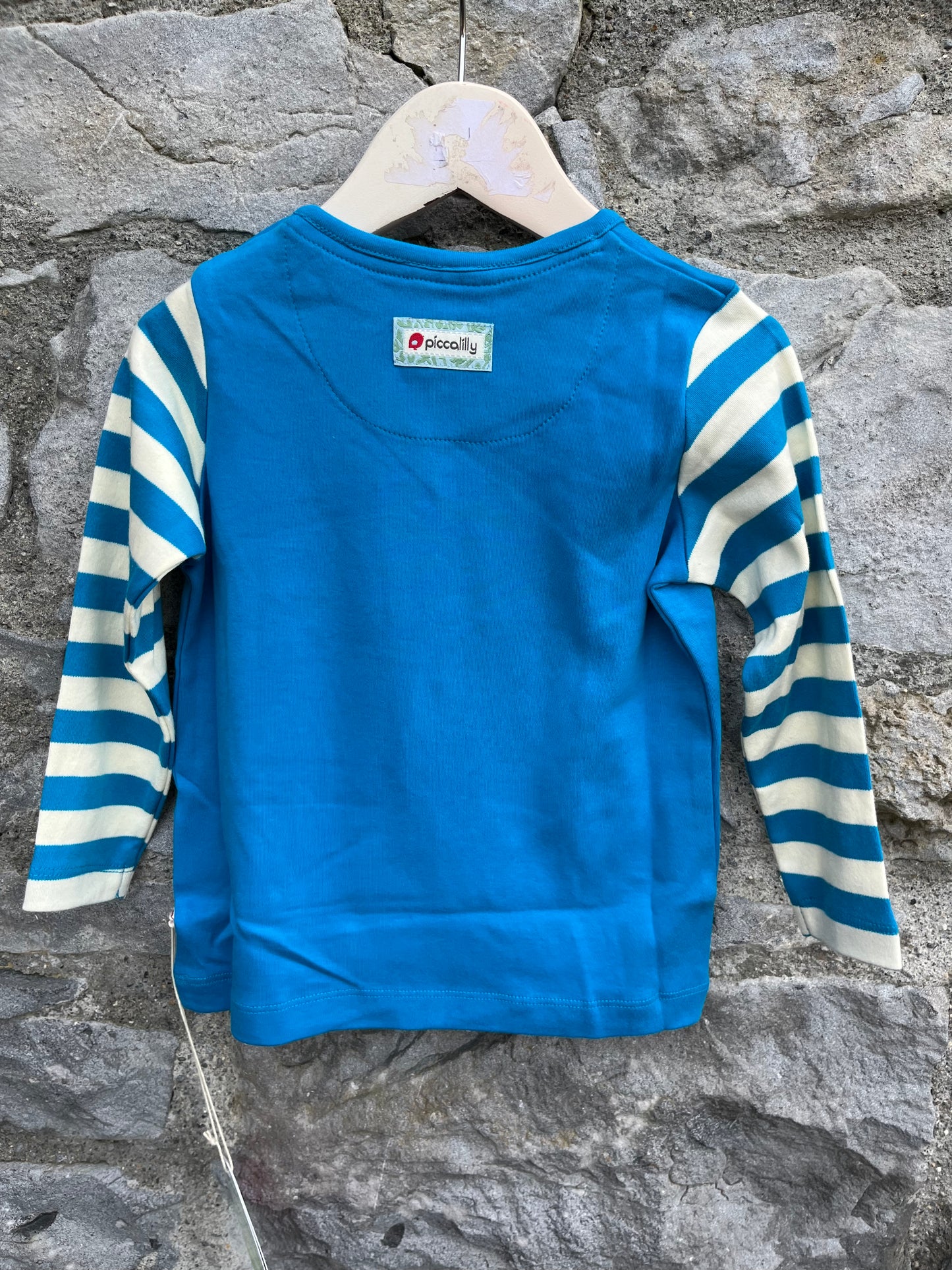 Fox raglan top 18-24m (86-92cm)