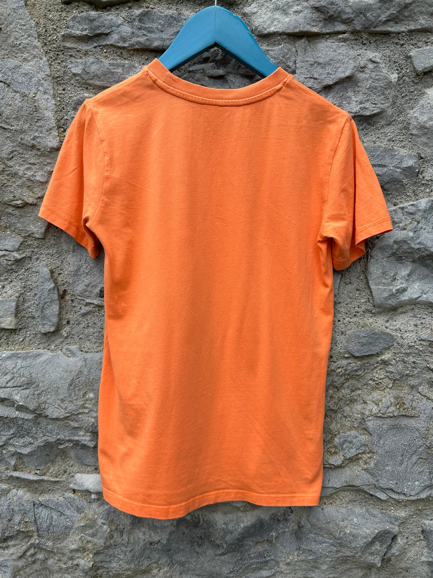 Go skate orange T-shirt 9-10y (134-140cm)