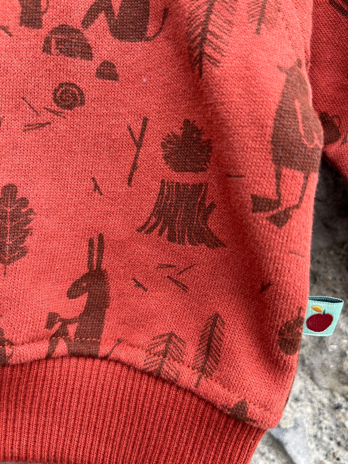 Forest animals sweatshirt 0-3m (56-62cm)