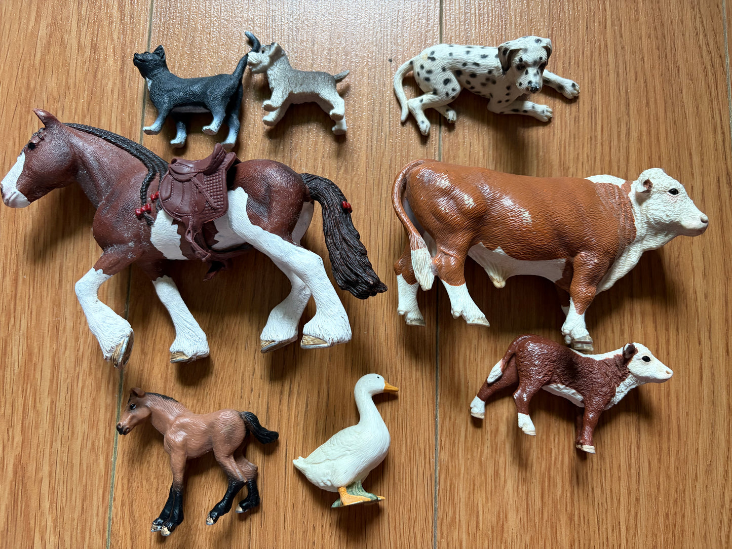 Veterinary clinic&animals set