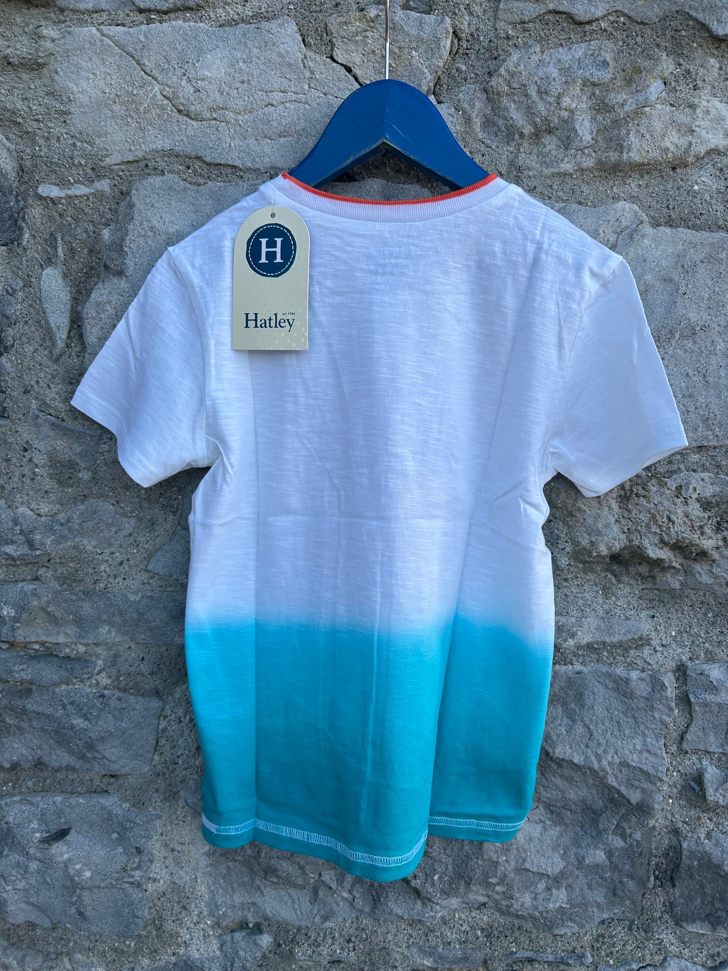 Surfing ombré T-shirt 6y (116cm)