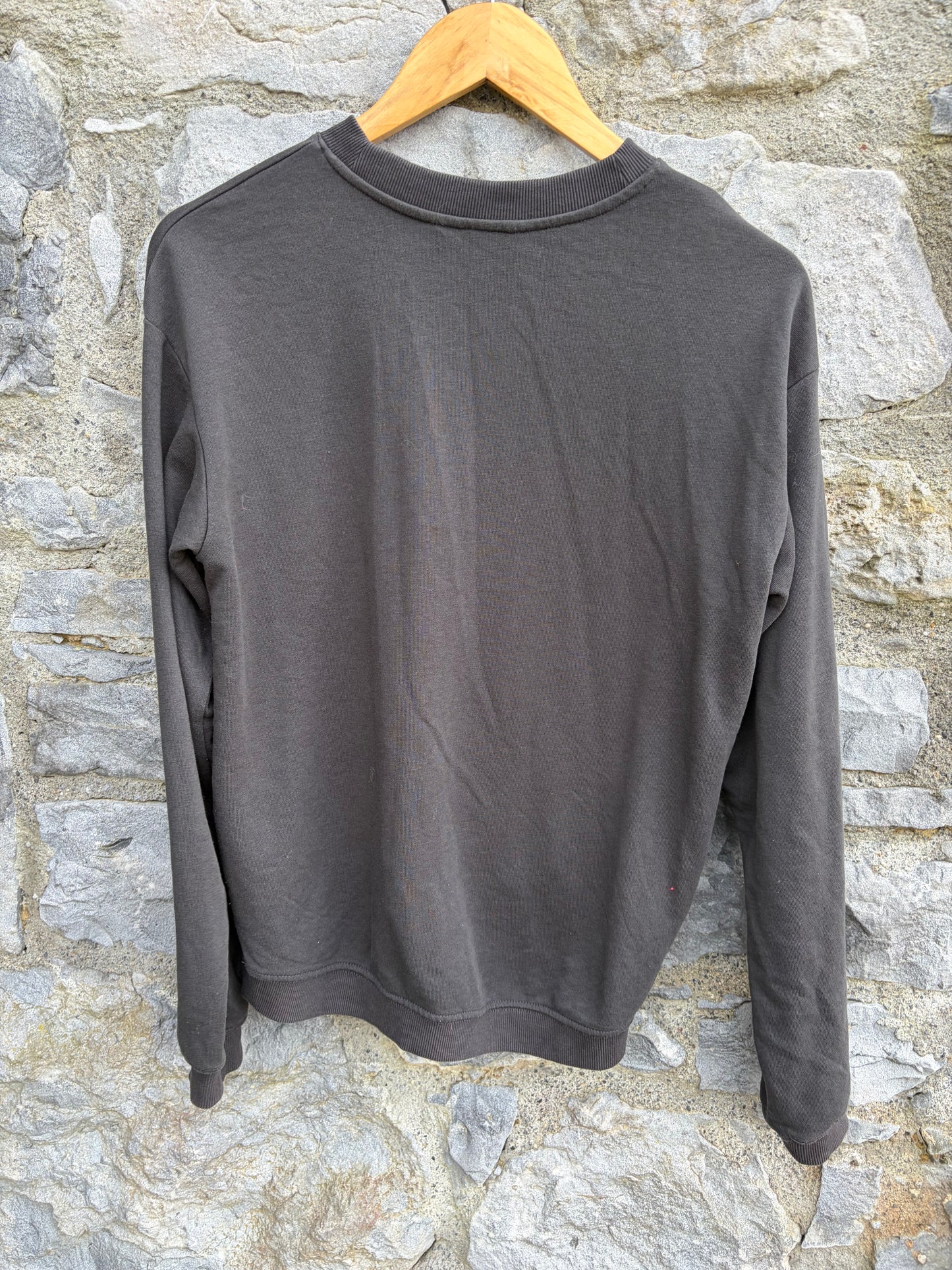 Dreams doves charcoal sweatshirt 12-13y (152-158cm)