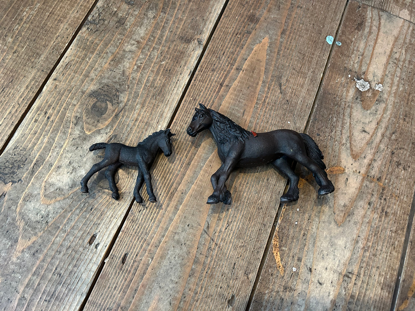 Black horses