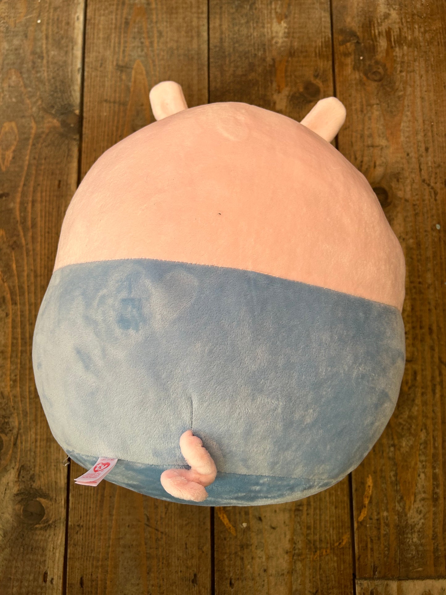 Big Ty squish George pig