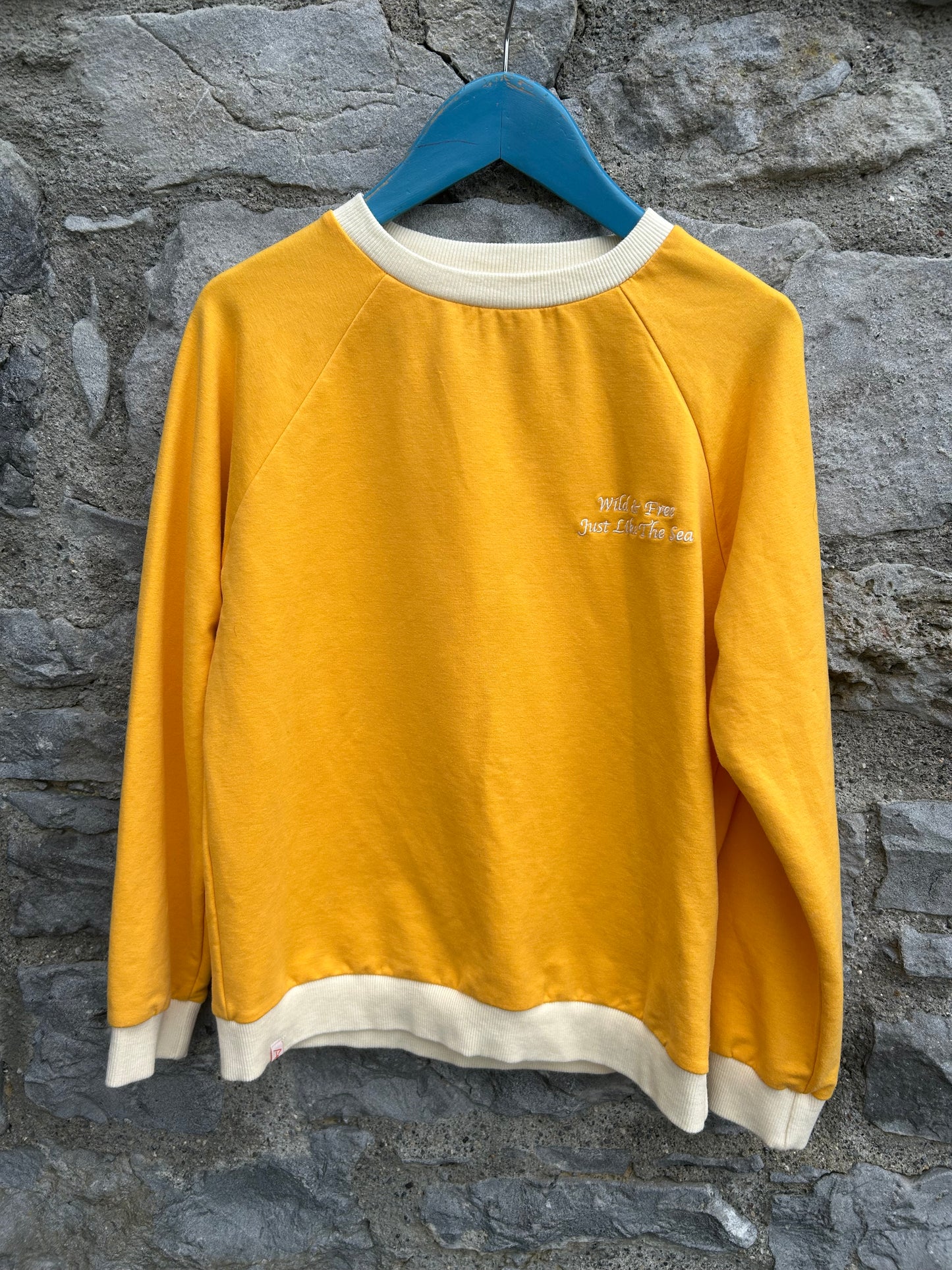 Citrus Joy is a Feeling sweatshirt 10y (140cm)