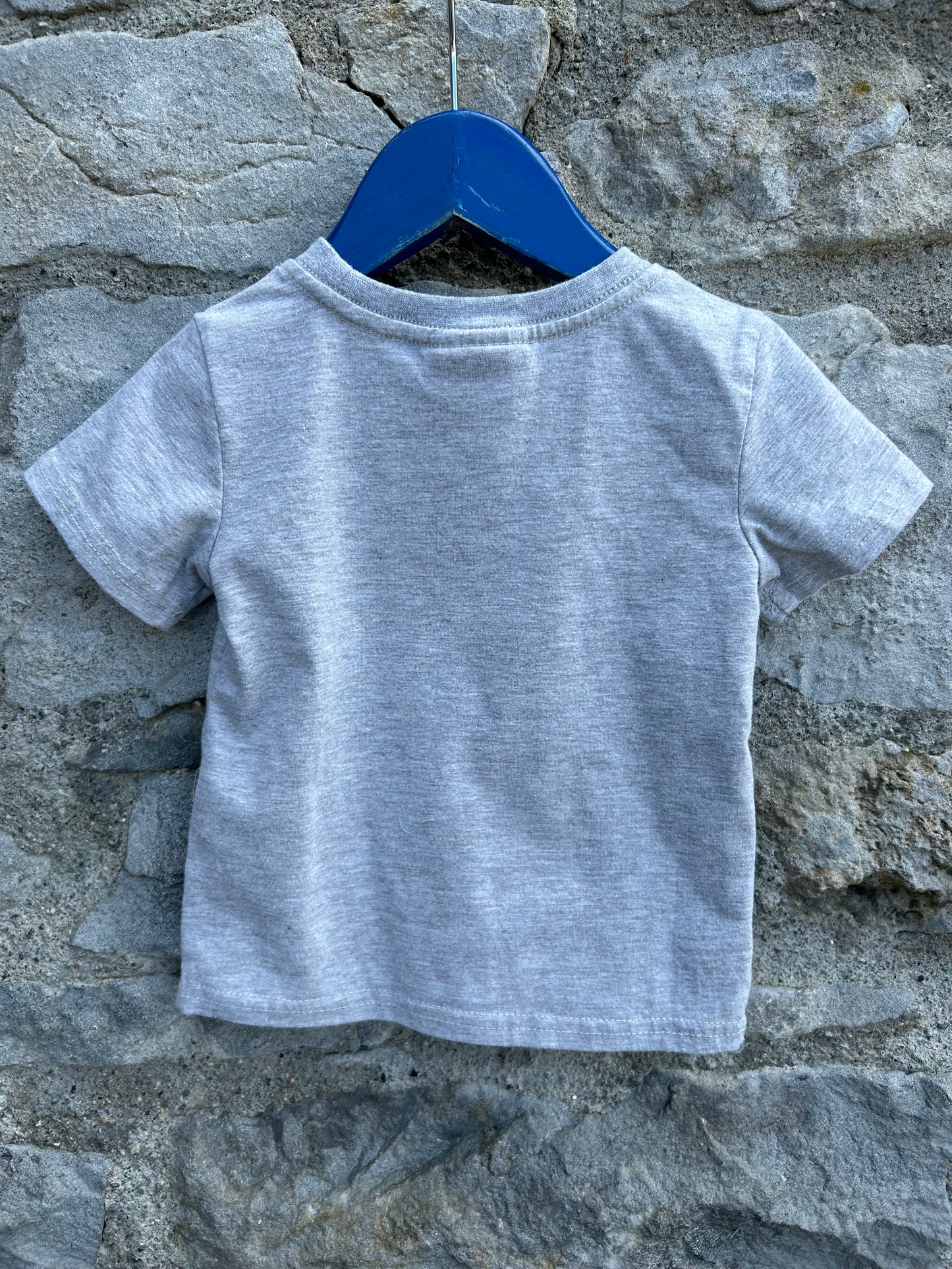Dragon&machines grey T-shirt 9-12m (74-80cm)