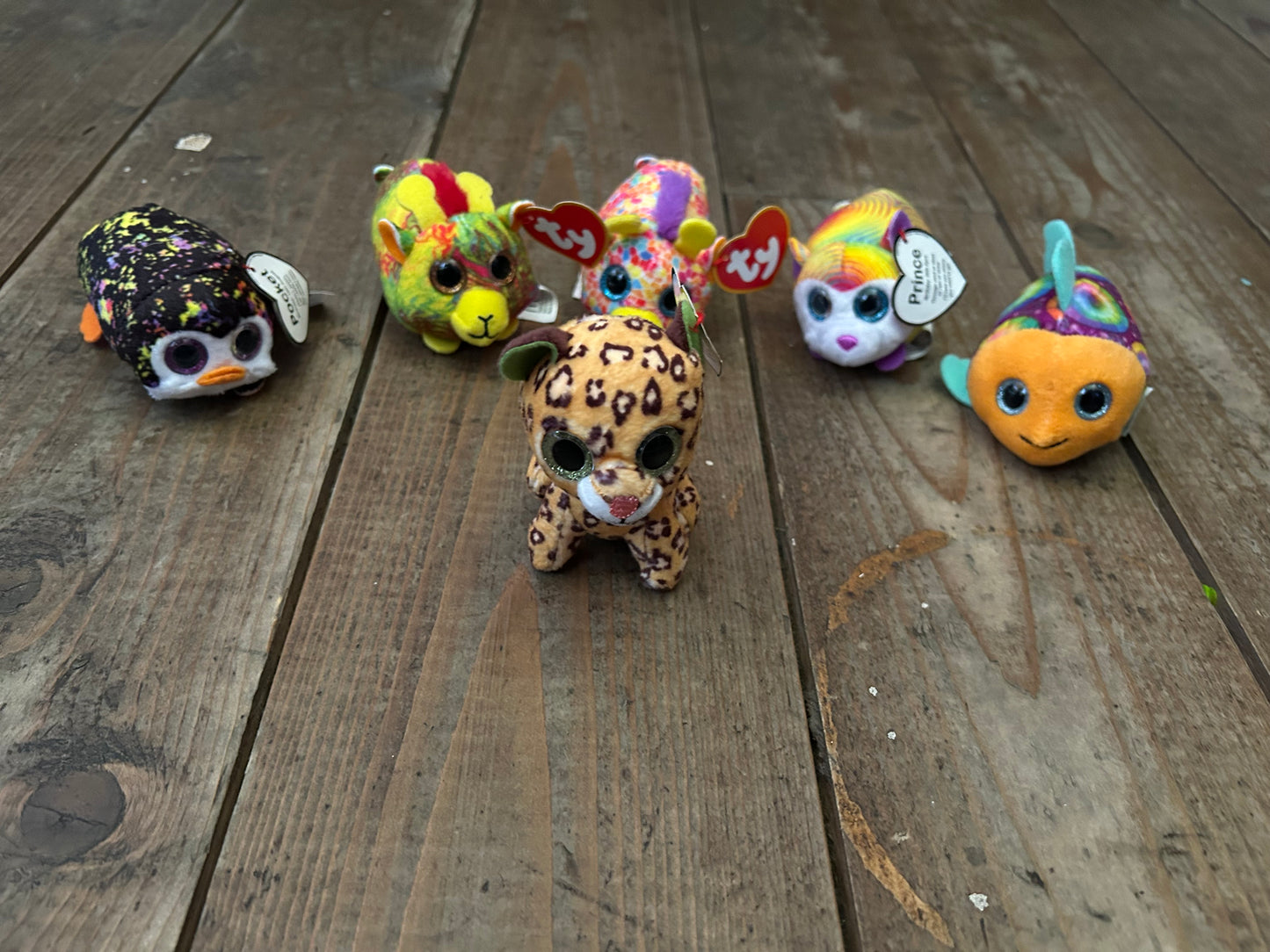6 tiny ty soft toys animals