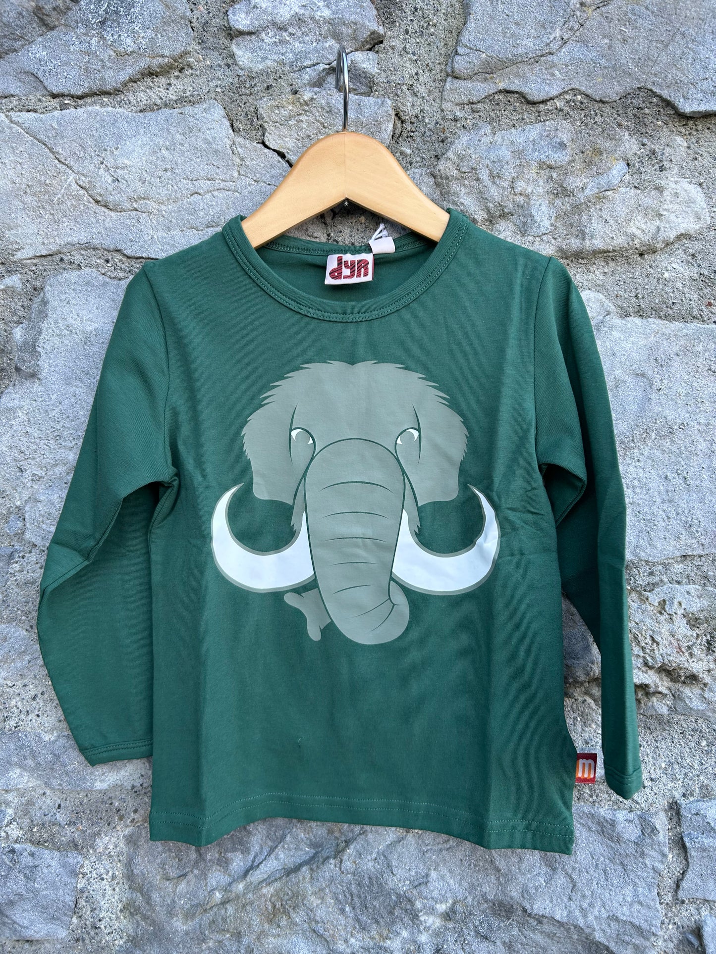 Green mammoth top 2y (92cm)