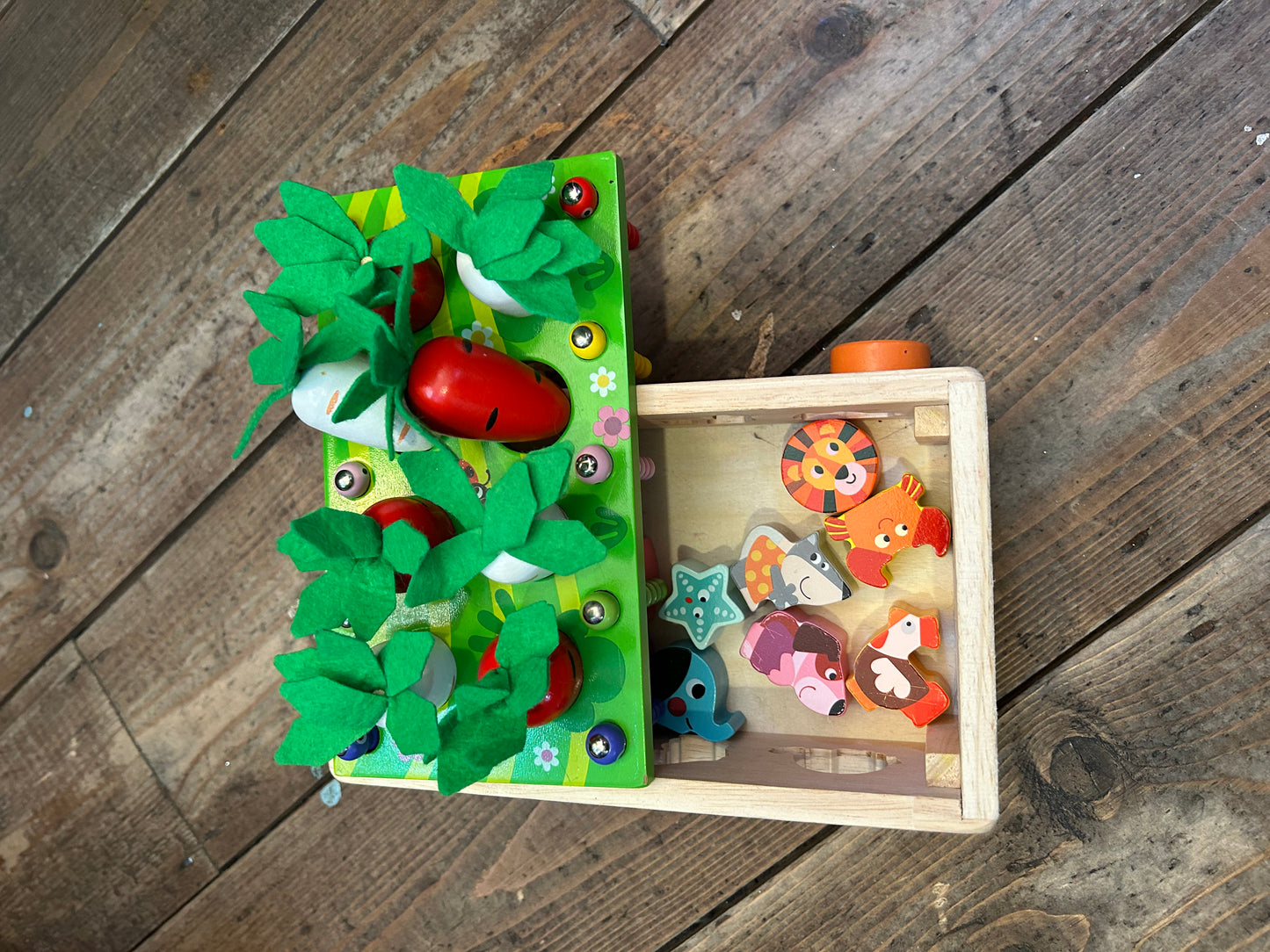 Radish box shape sorter