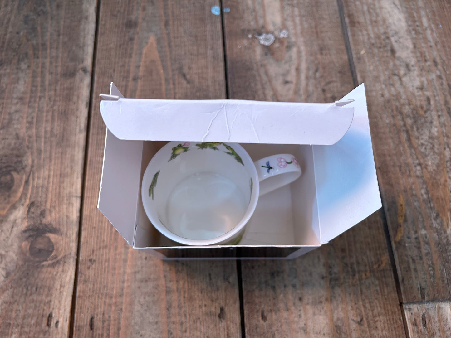 Frog mug