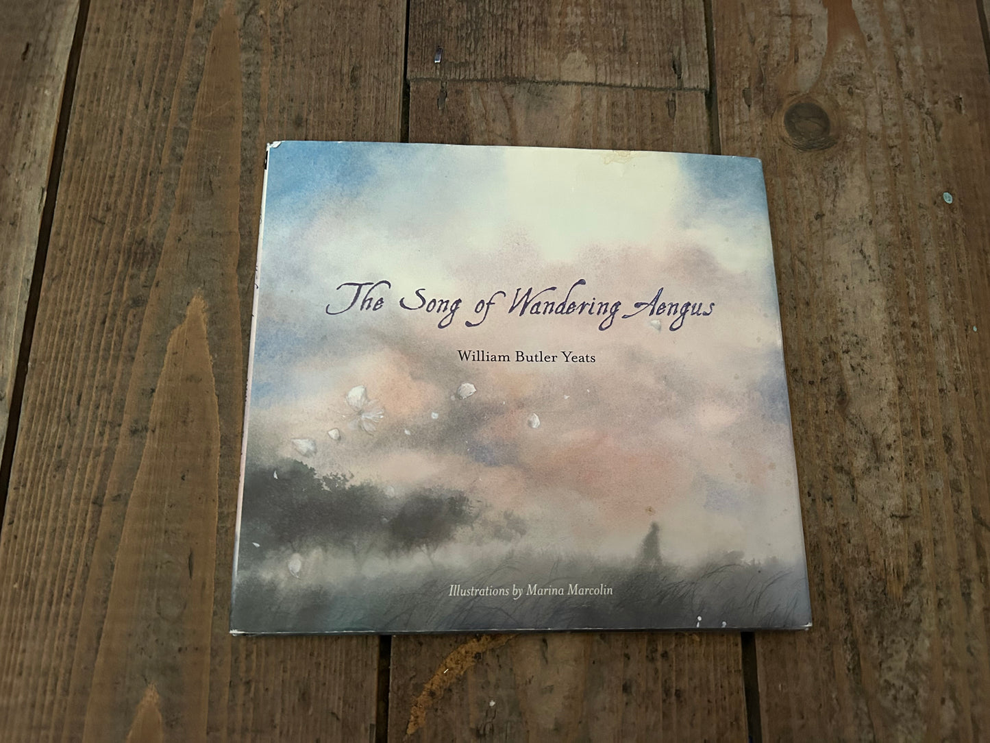 The song of wondering aengus by W.B.Yeats