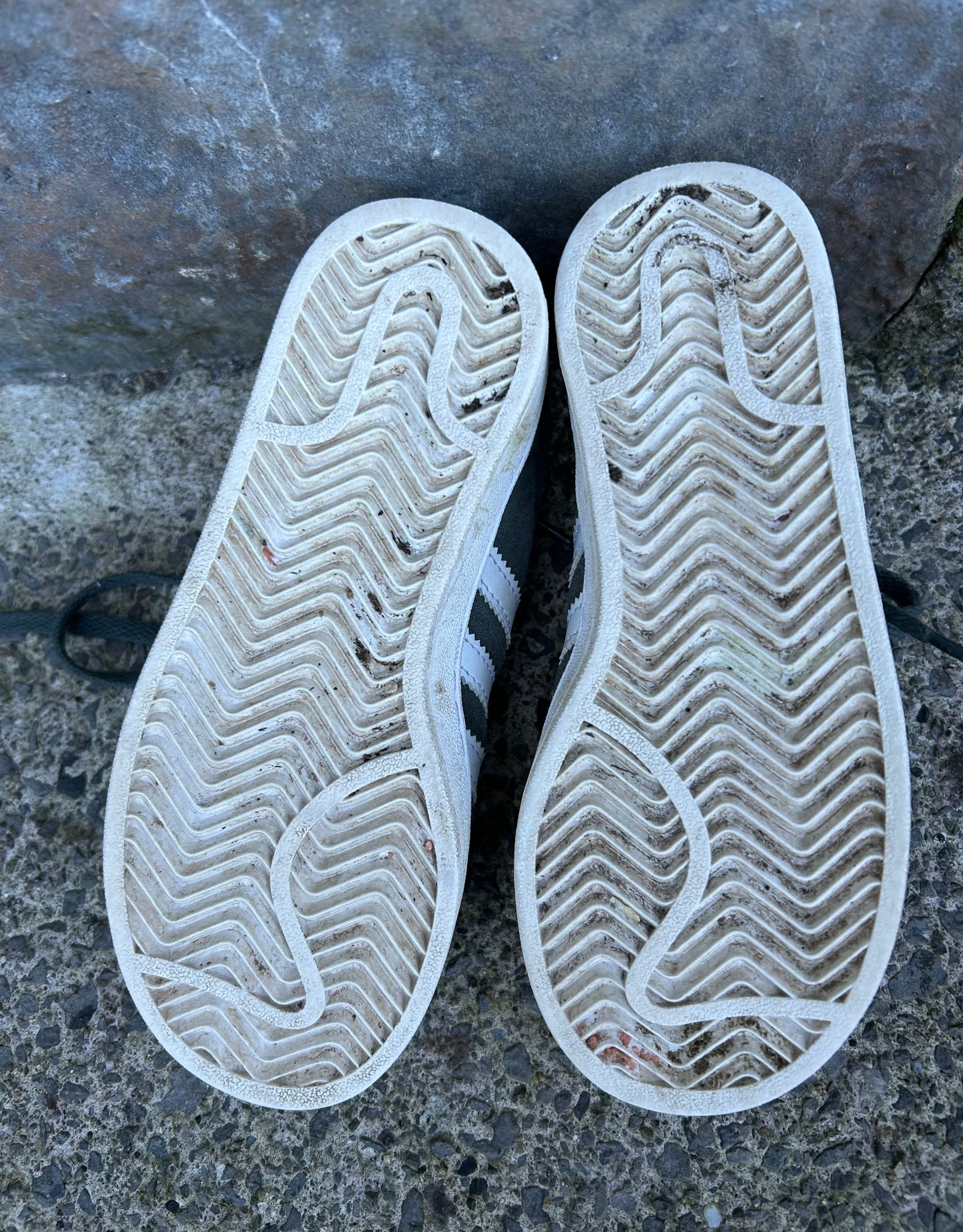 Khaki campus runners uk 11K (eu 29)