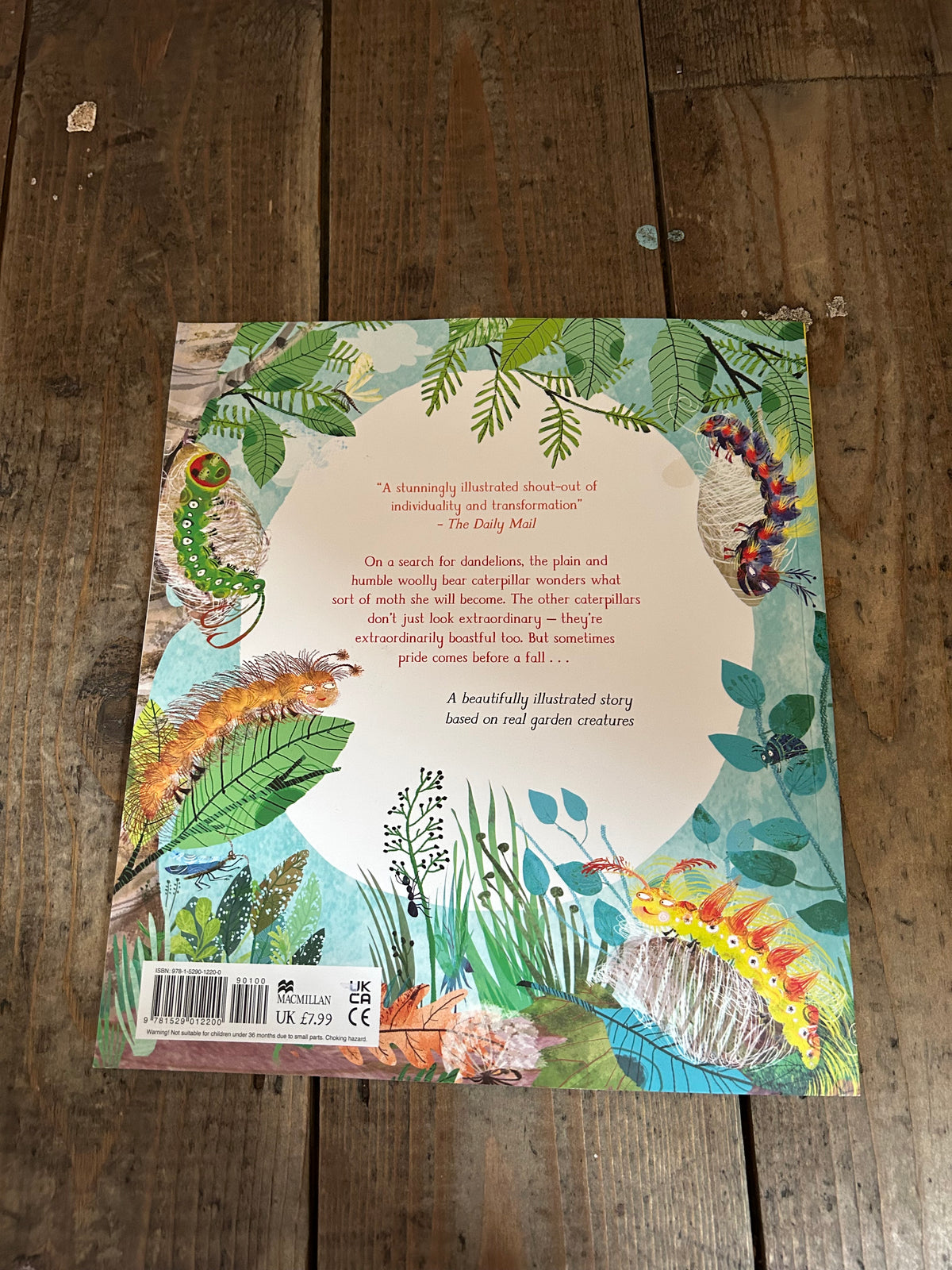 The woolly bear caterpillar by Julia Donaldson
