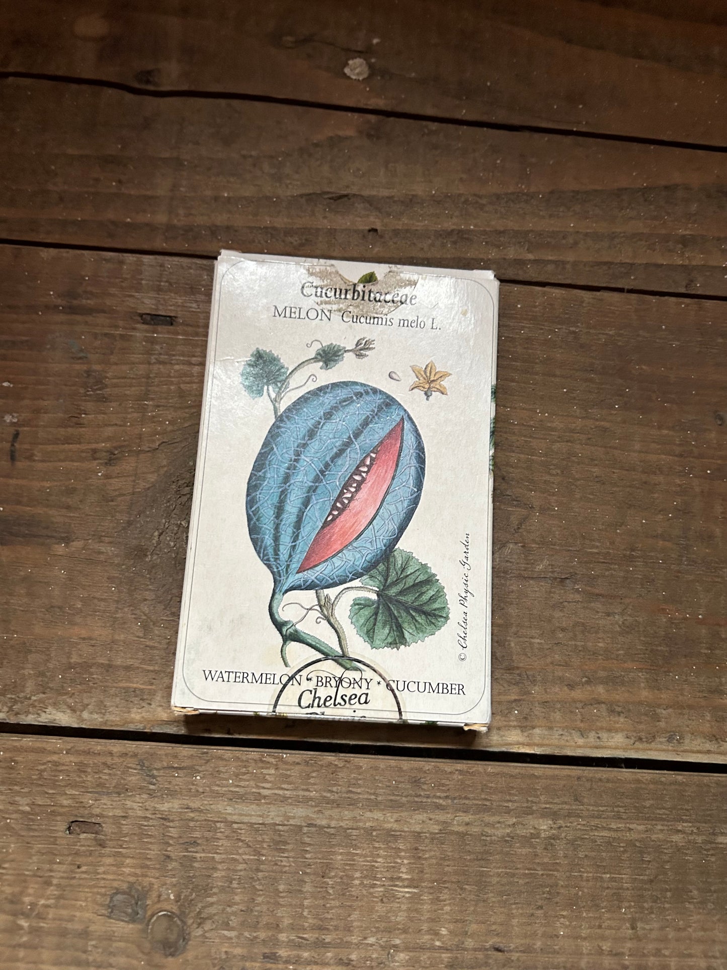 Plant families card game