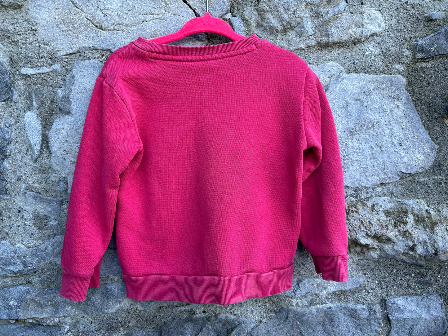 Pink logo sweatshirt 9-12m (74-80cm)