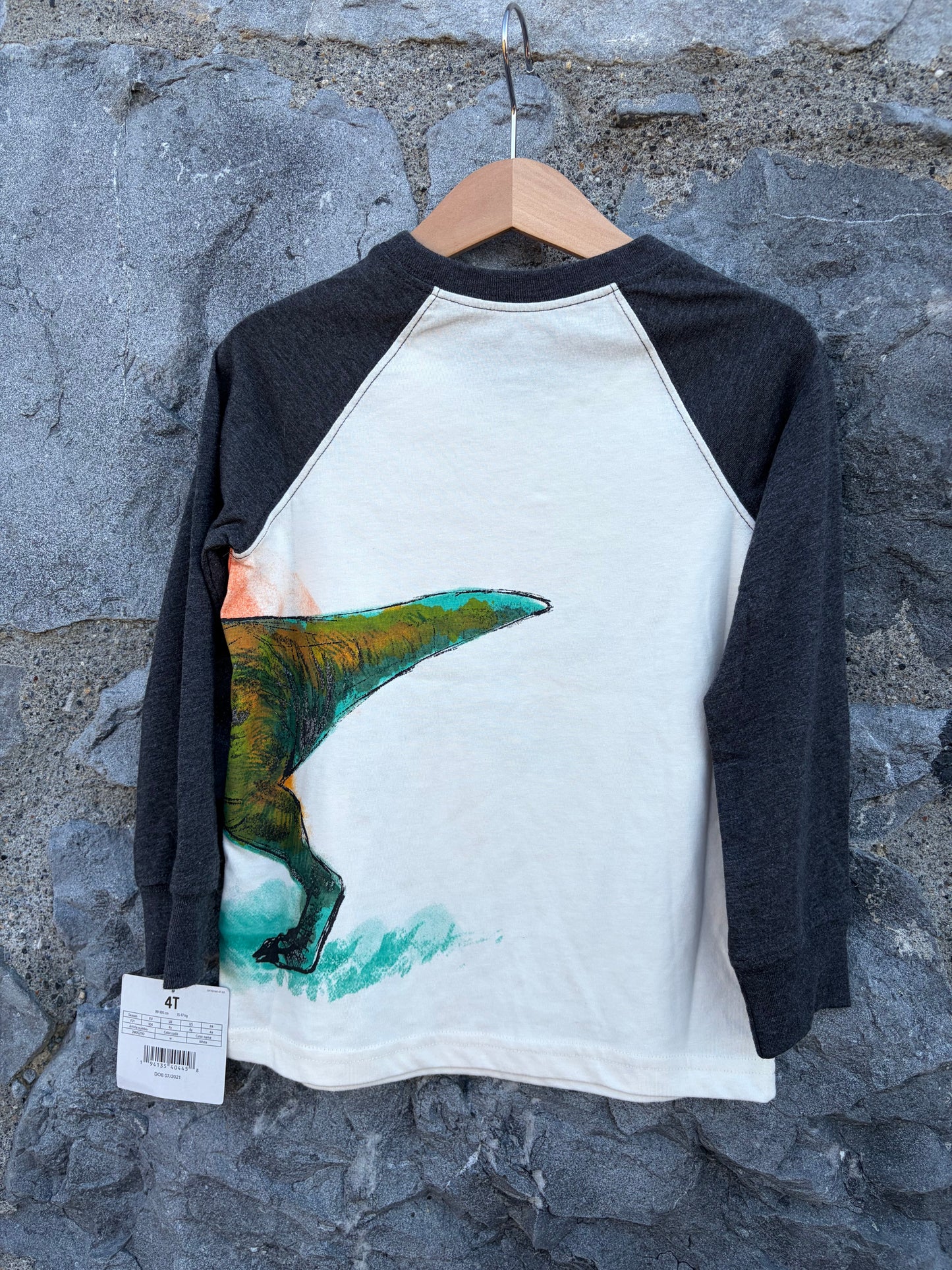 T-rex raglan top 4y (104cm)