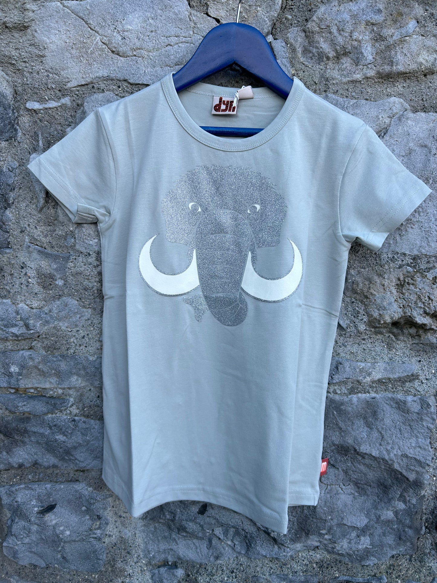 Glitter mammoth grey T-shirt 7y (122cm)