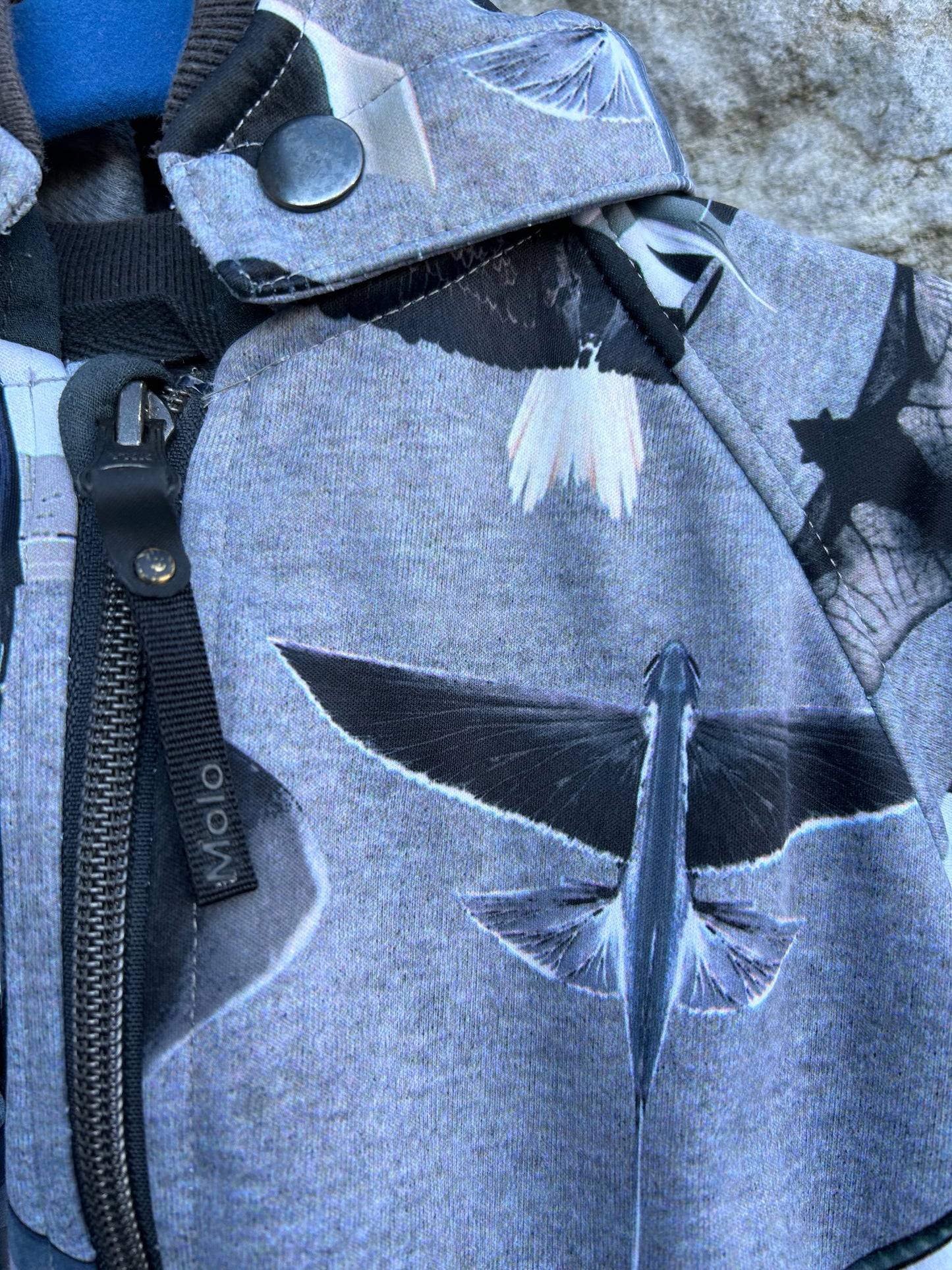 Birds&planes grey jacket 9-12m (74-80cm)