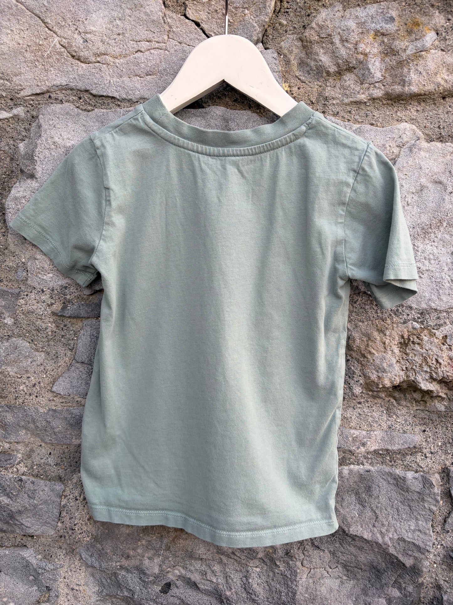 Triceratops grey T-shirt 4y (104cm)
