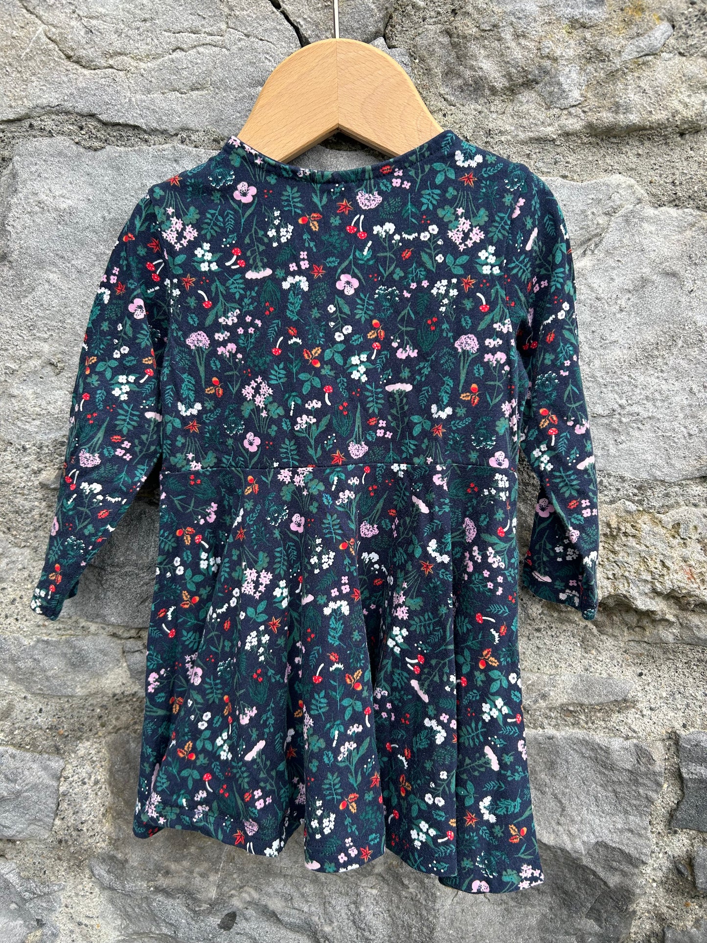 Winter meadow navy dress 9-12m (74-80cm)