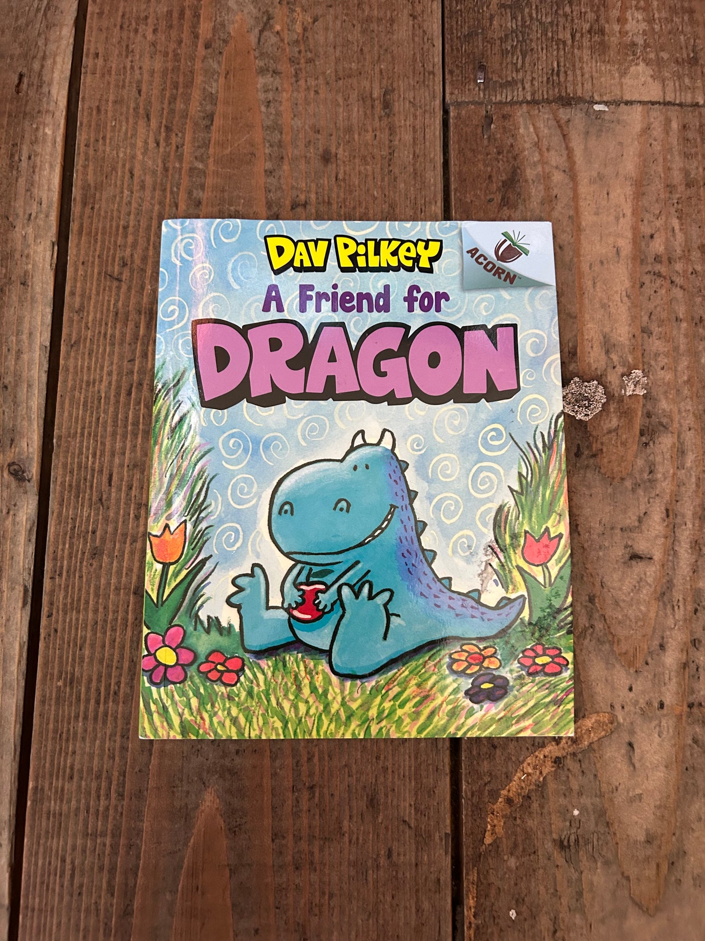 A friend for dragon